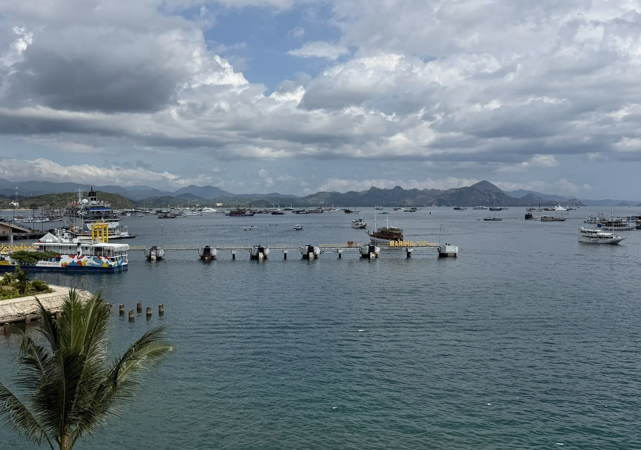 IMG_5840.JPEG