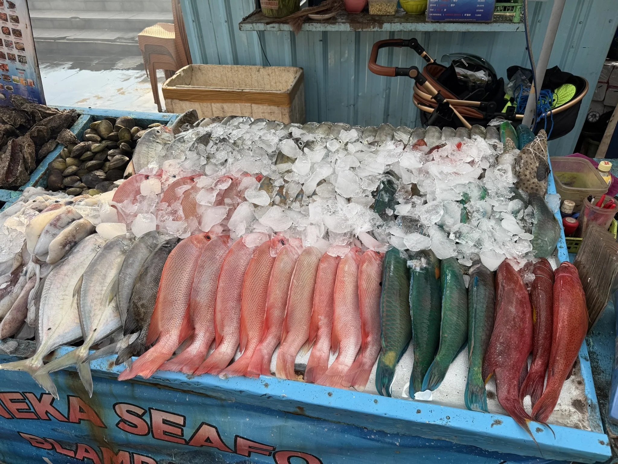 IMG_5855.JPEG