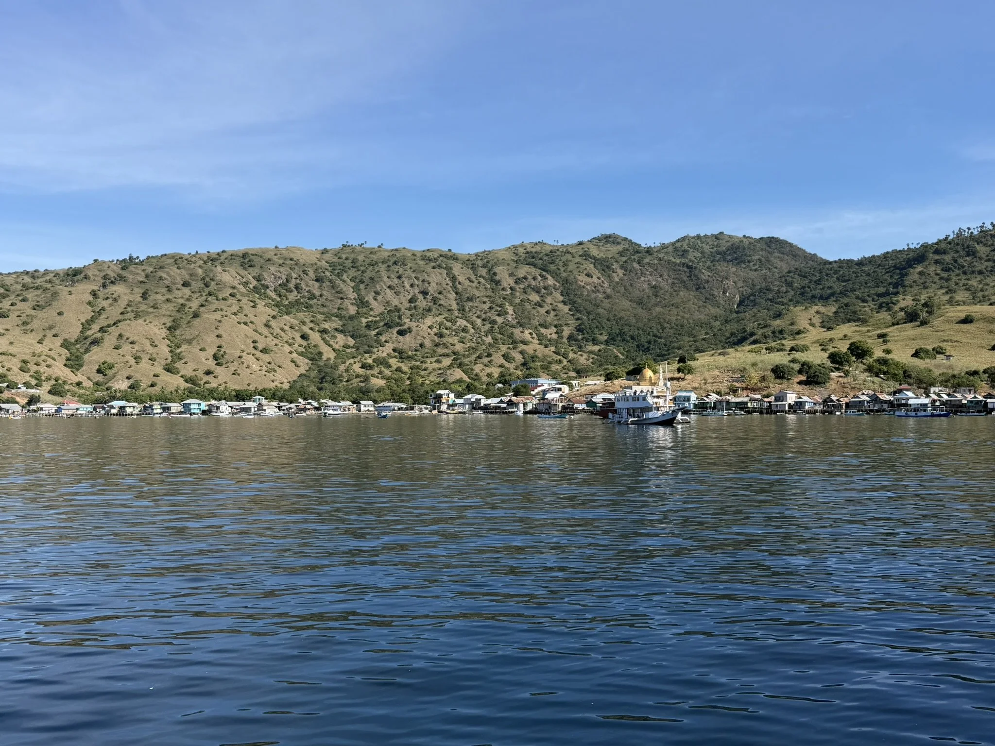 IMG_5962.JPEG
