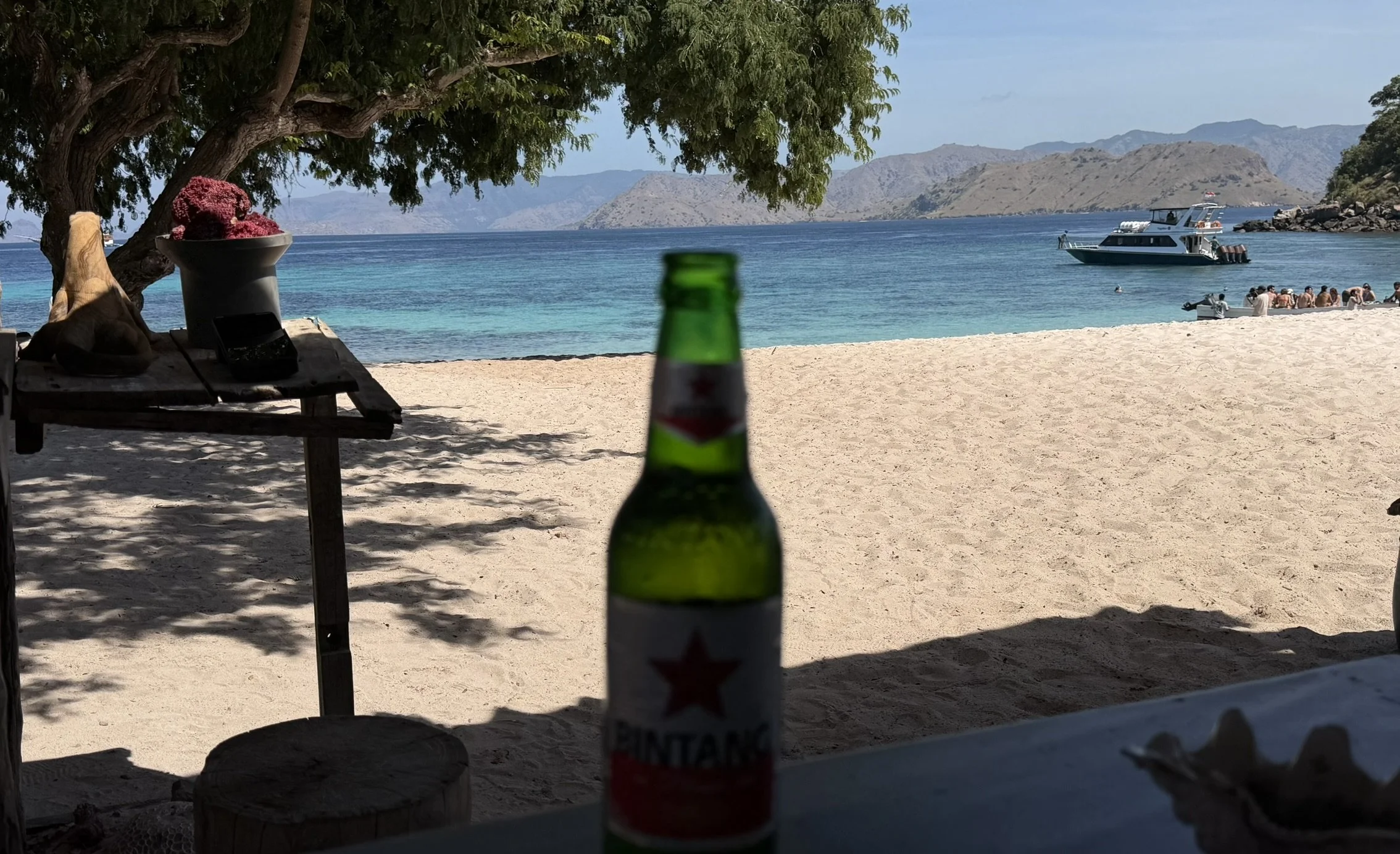 IMG_6014.JPEG