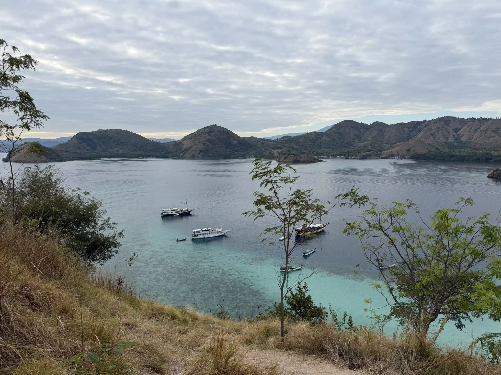 IMG_6062.JPEG