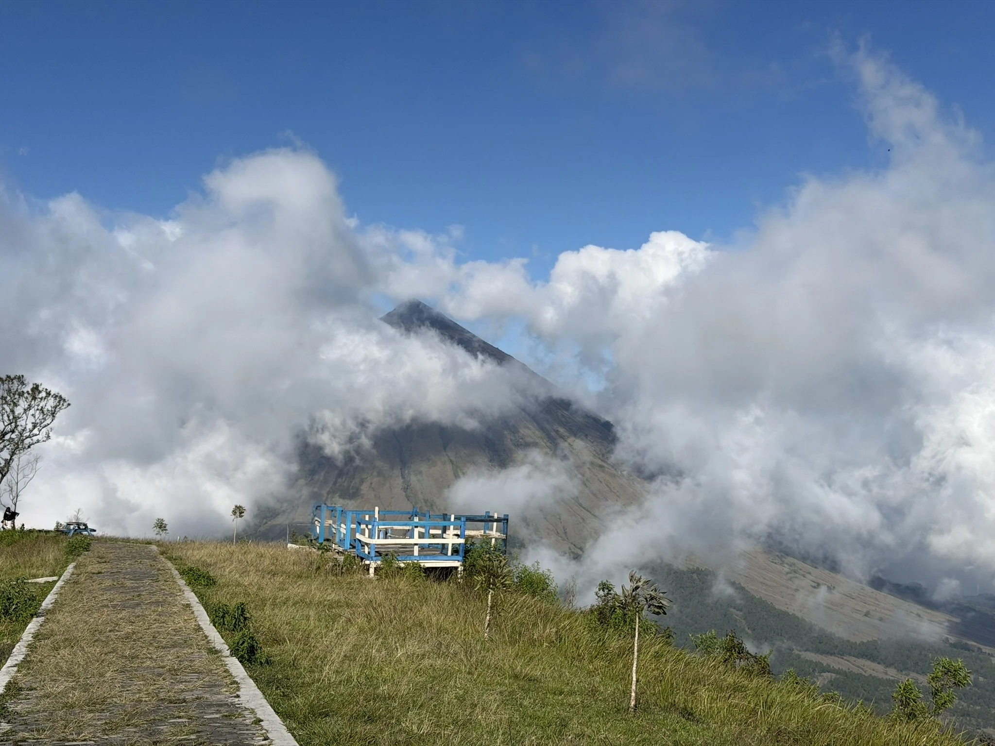 IMG_6193.JPEG