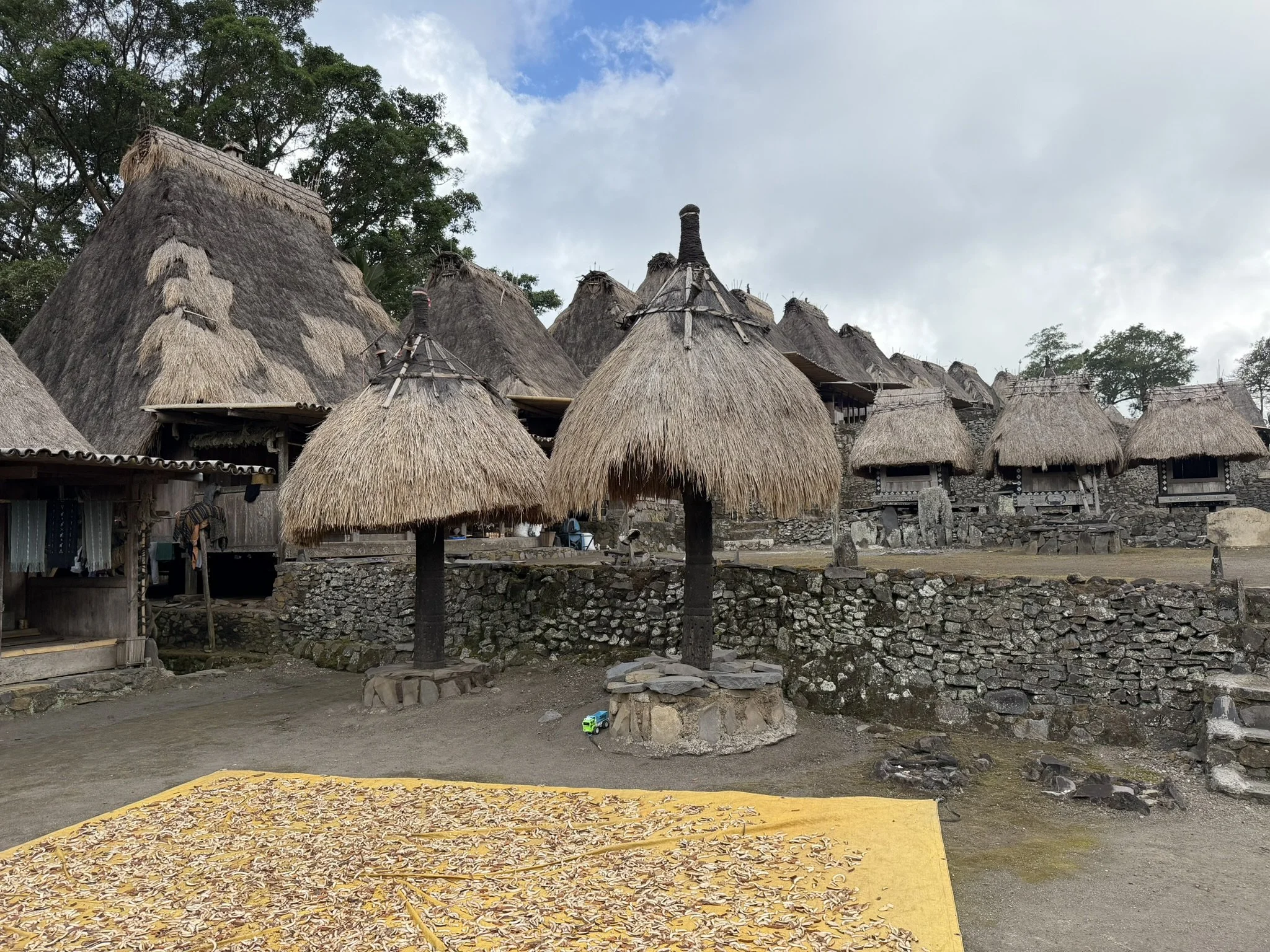 IMG_6225.JPEG