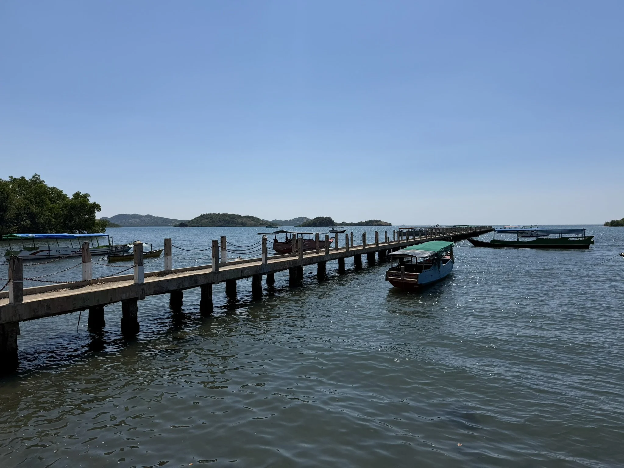 IMG_6385.JPEG