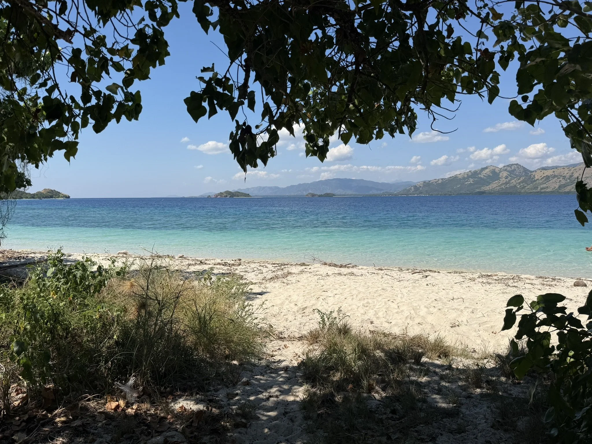 IMG_6475.JPEG