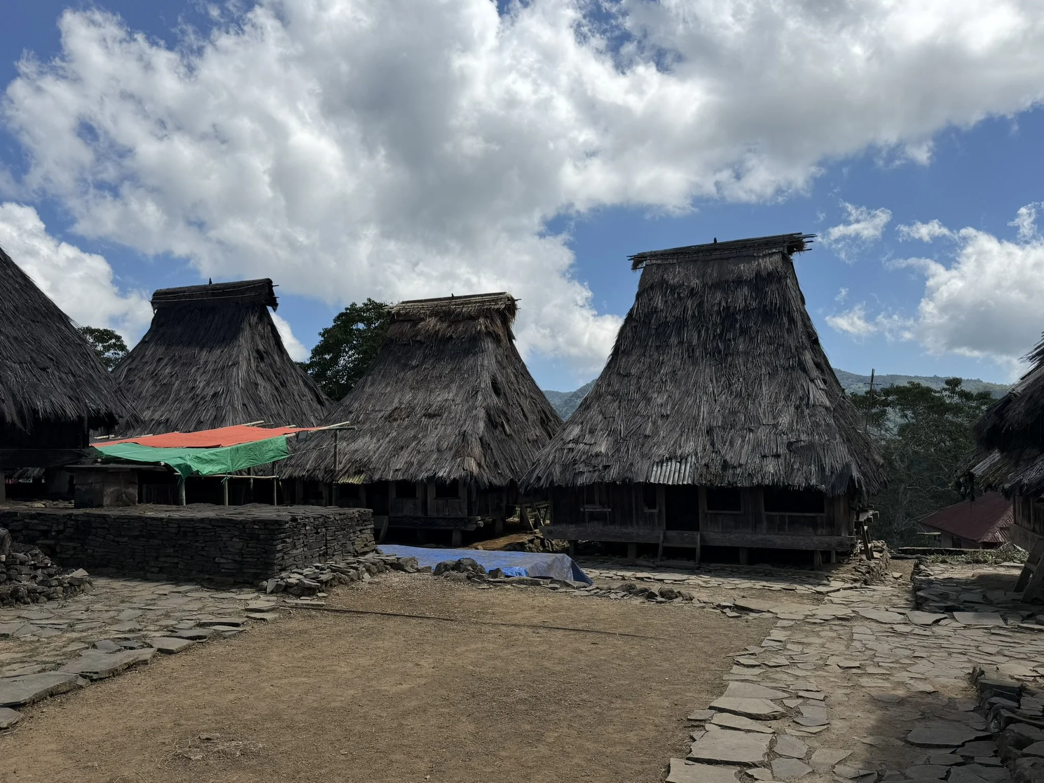 IMG_6564.JPEG