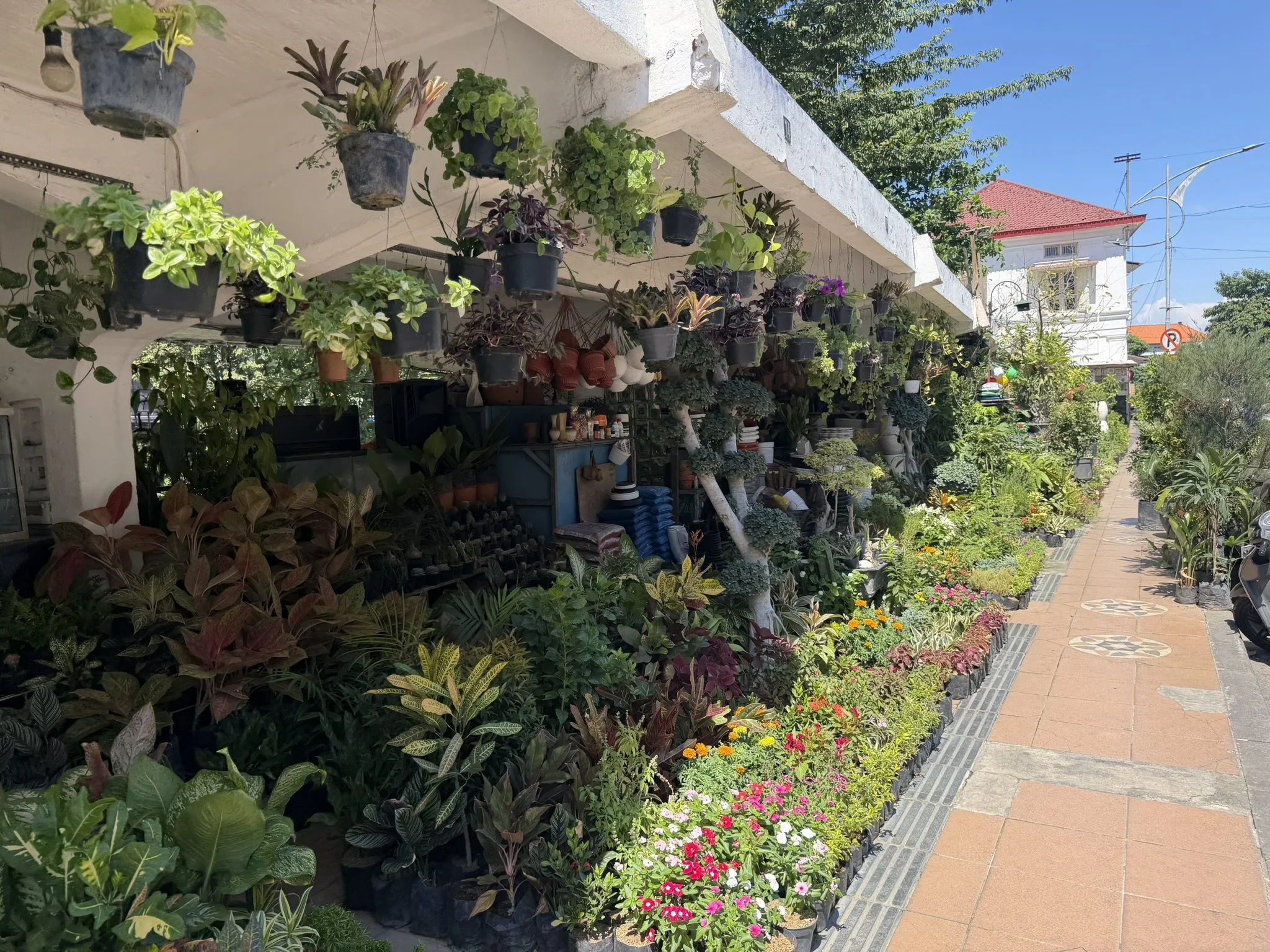 IMG_6715.JPEG