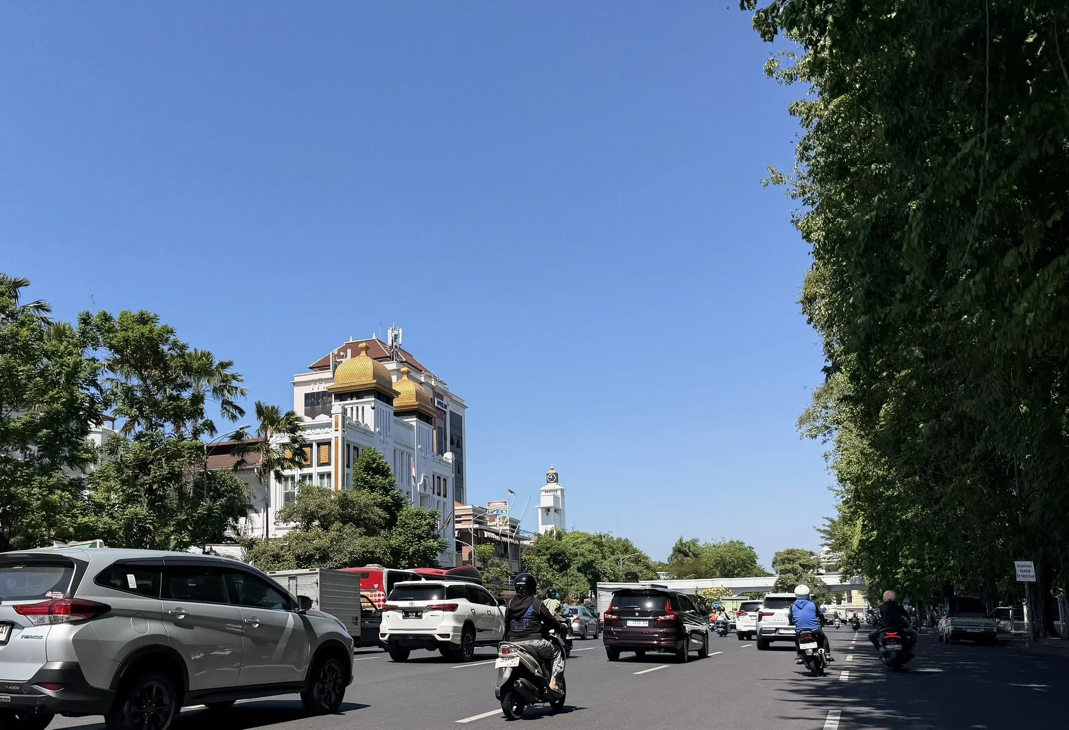 IMG_6733.JPEG
