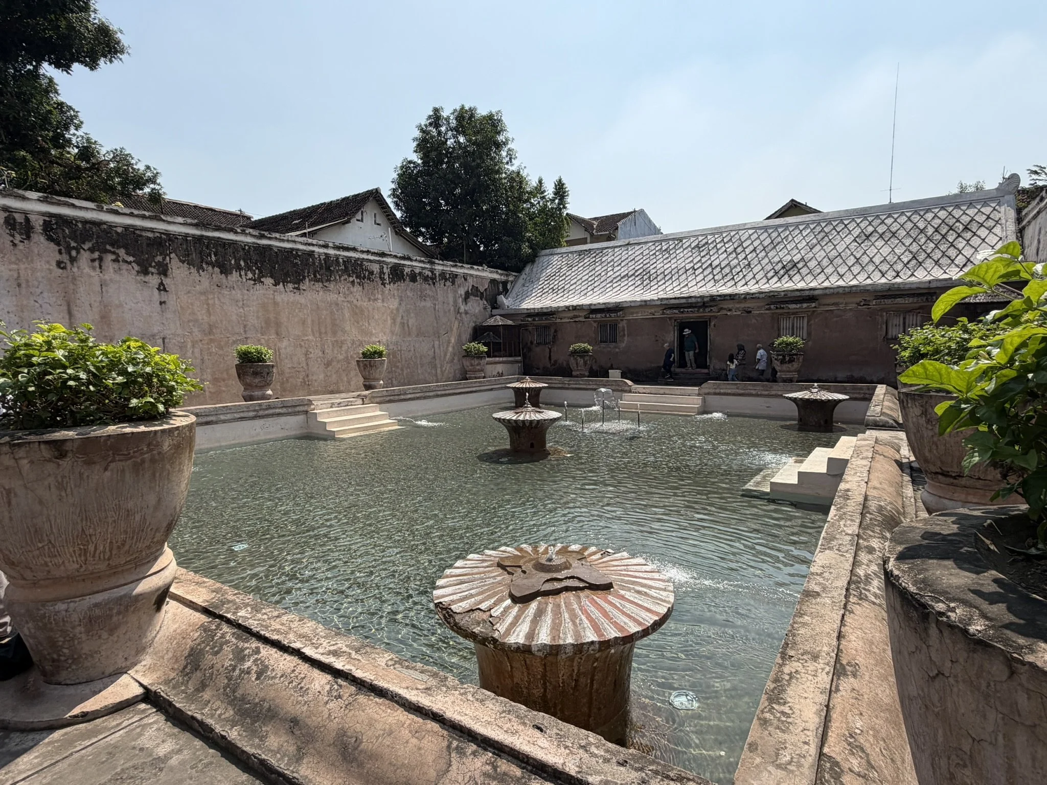 IMG_6958.JPEG