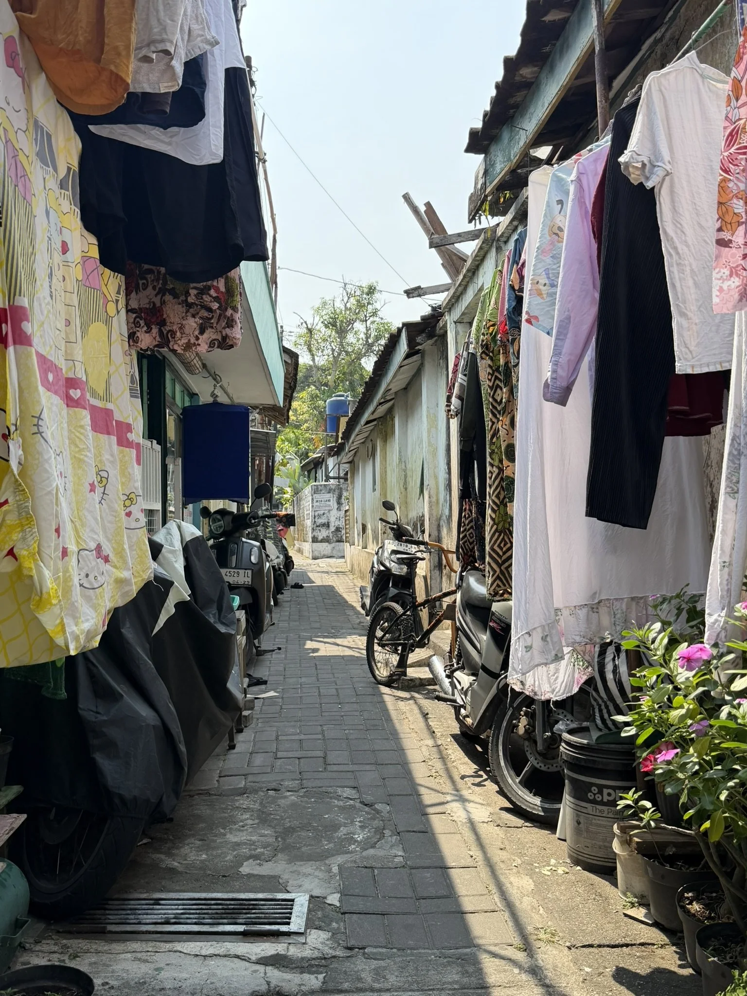 IMG_6965.JPEG