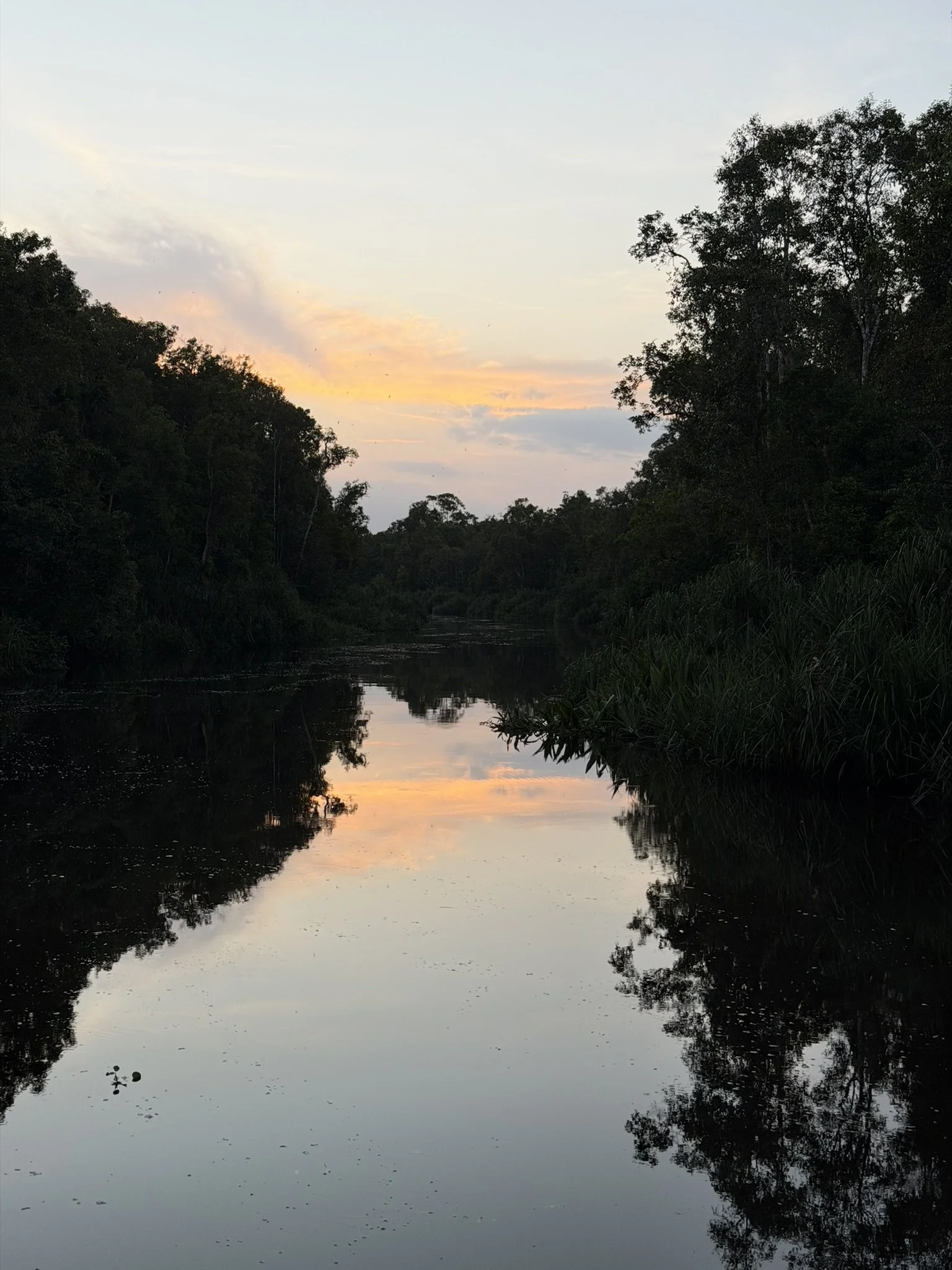 IMG_7214.JPEG