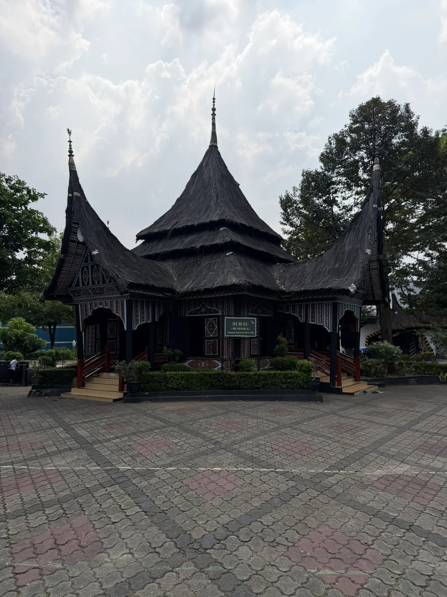 IMG_7317.JPEG