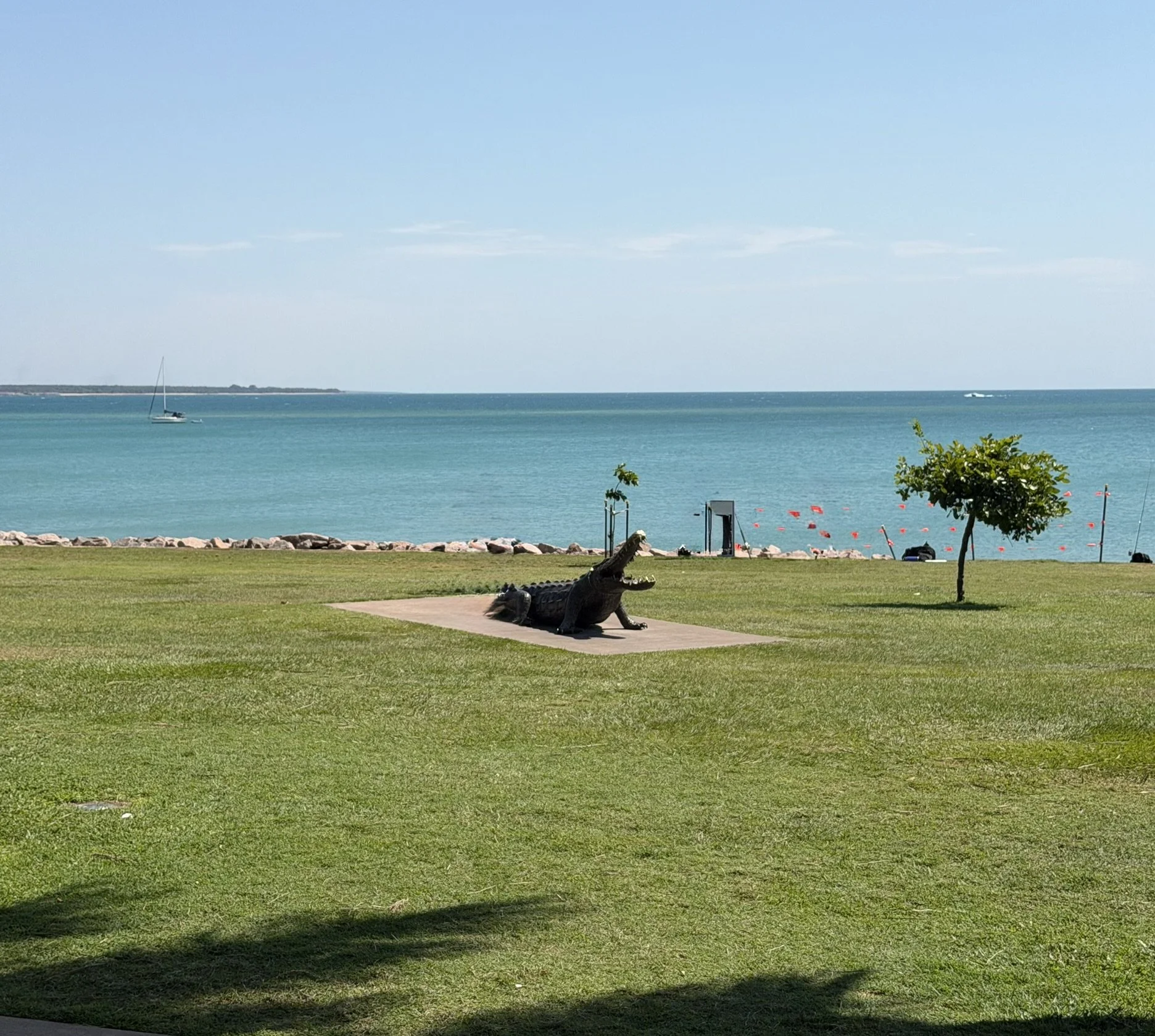 IMG_7430.JPEG