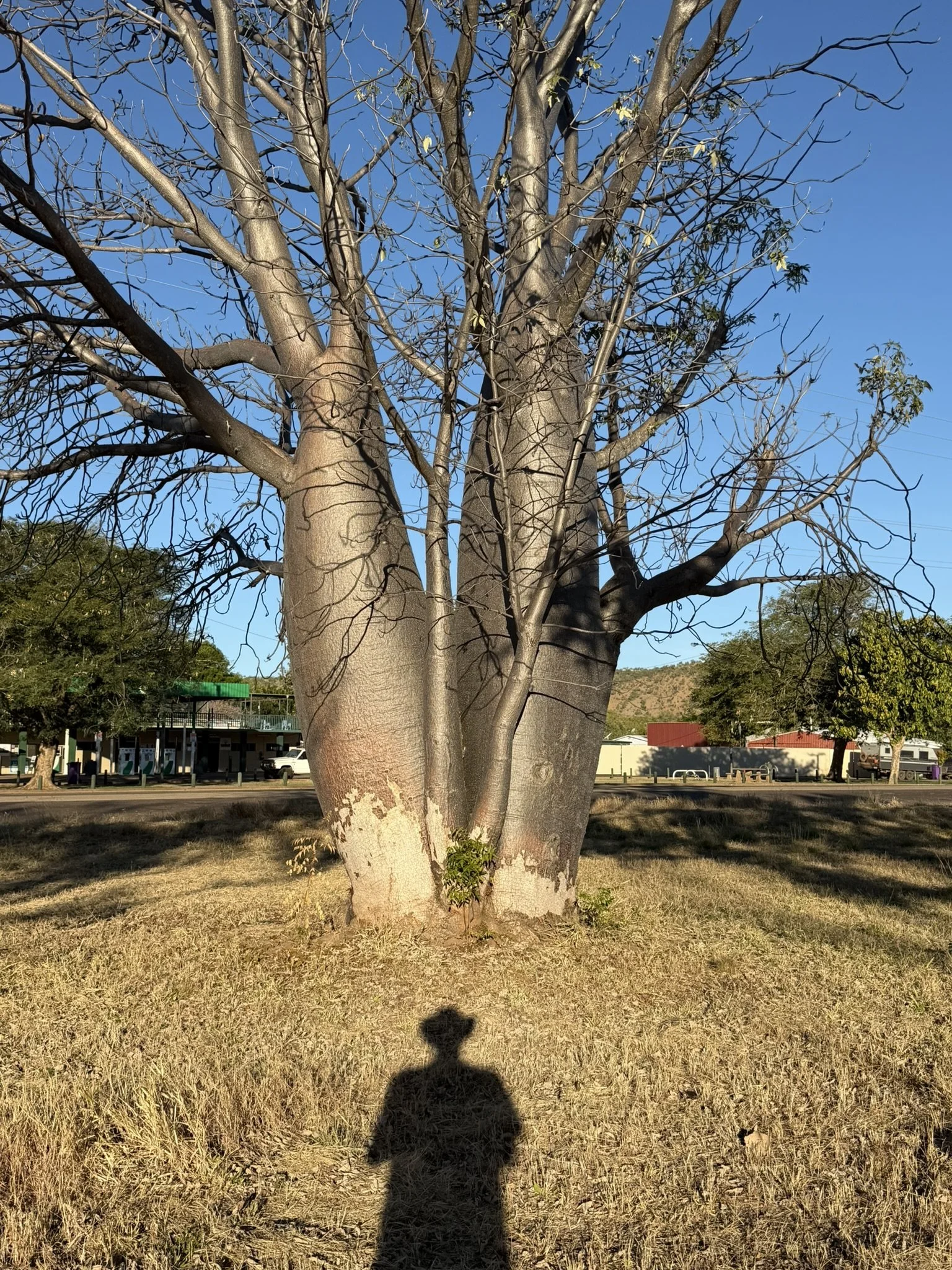 IMG_7483.JPEG