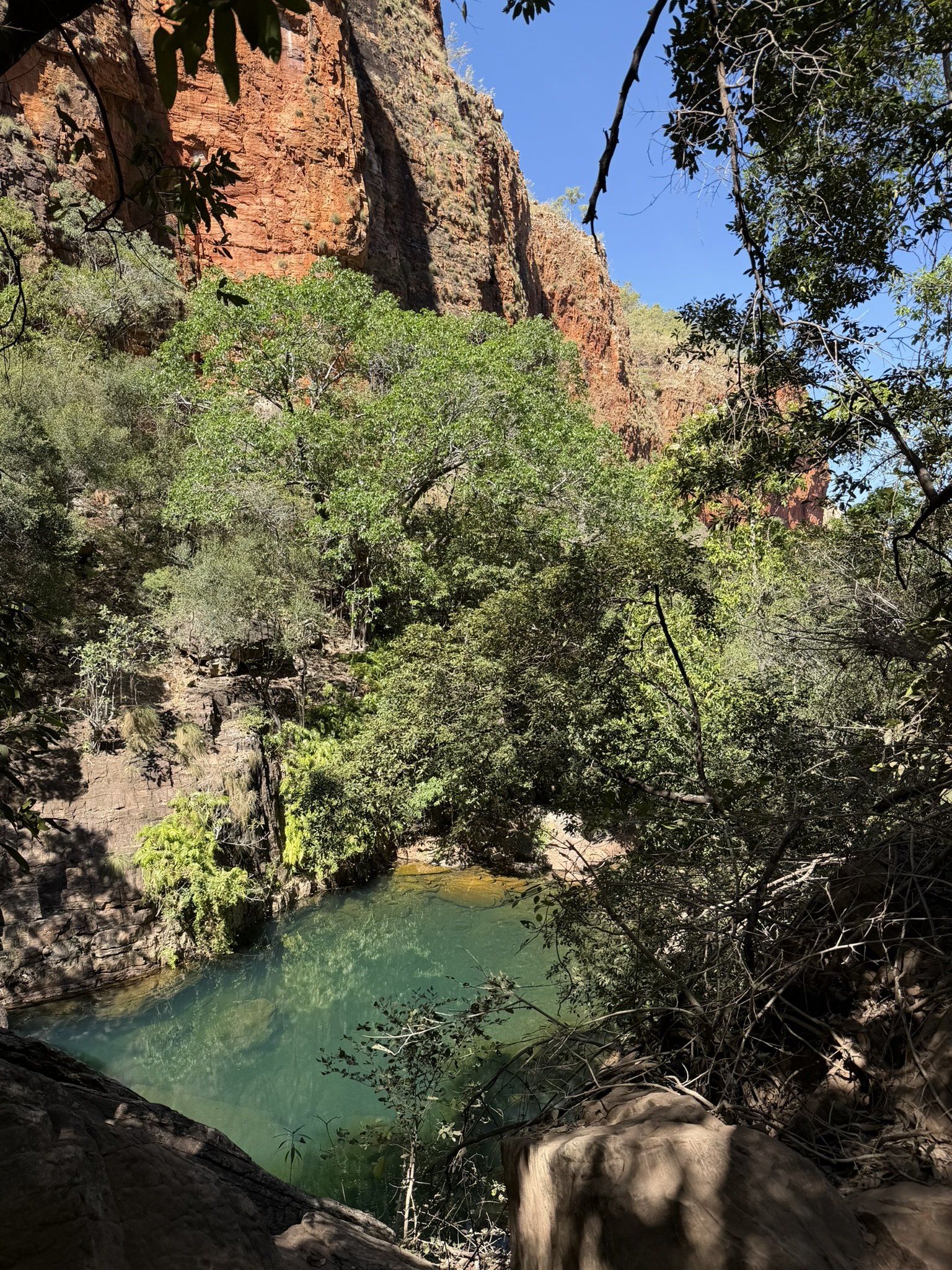 IMG_7606.JPEG