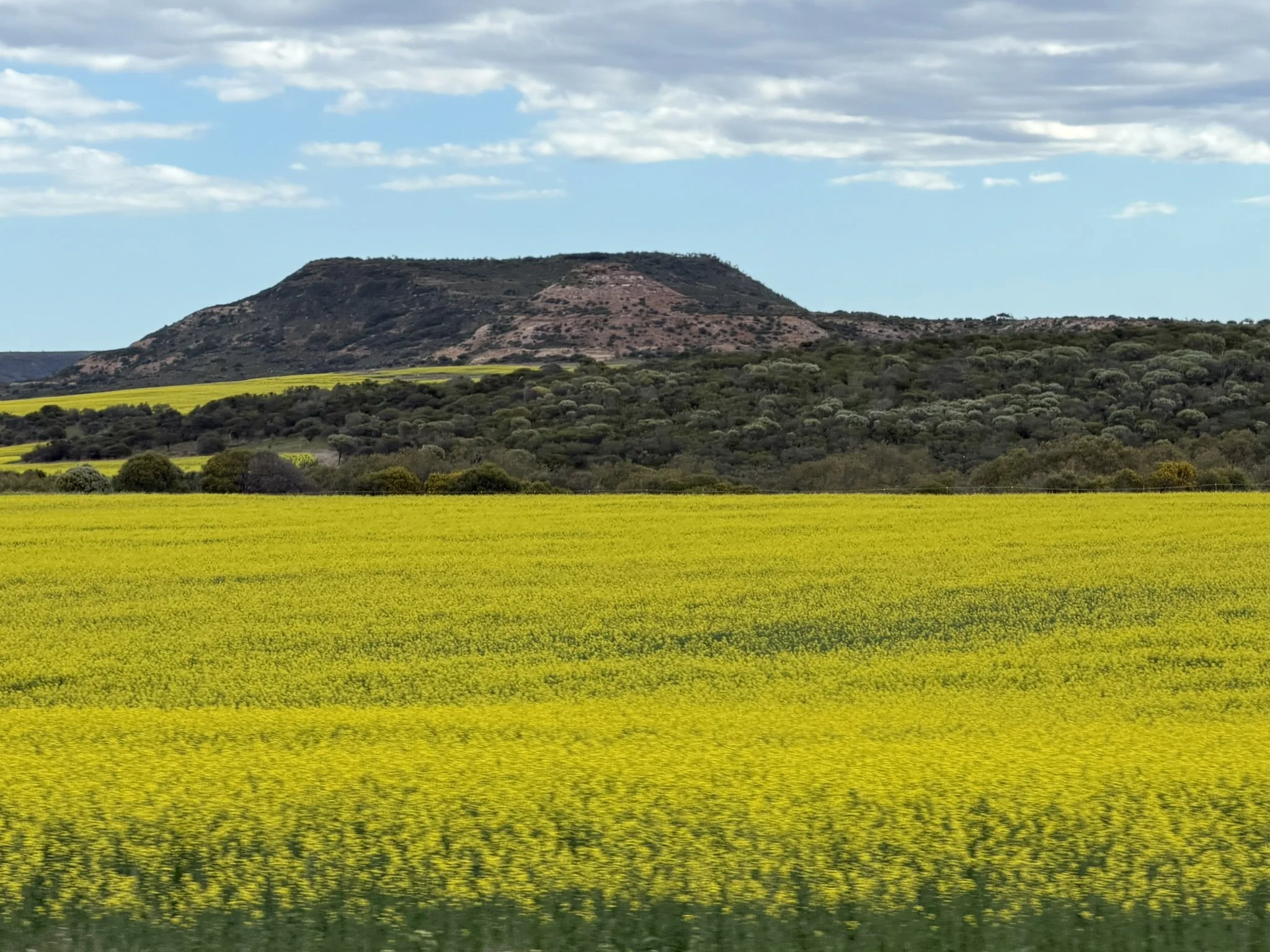 IMG_6557.JPEG