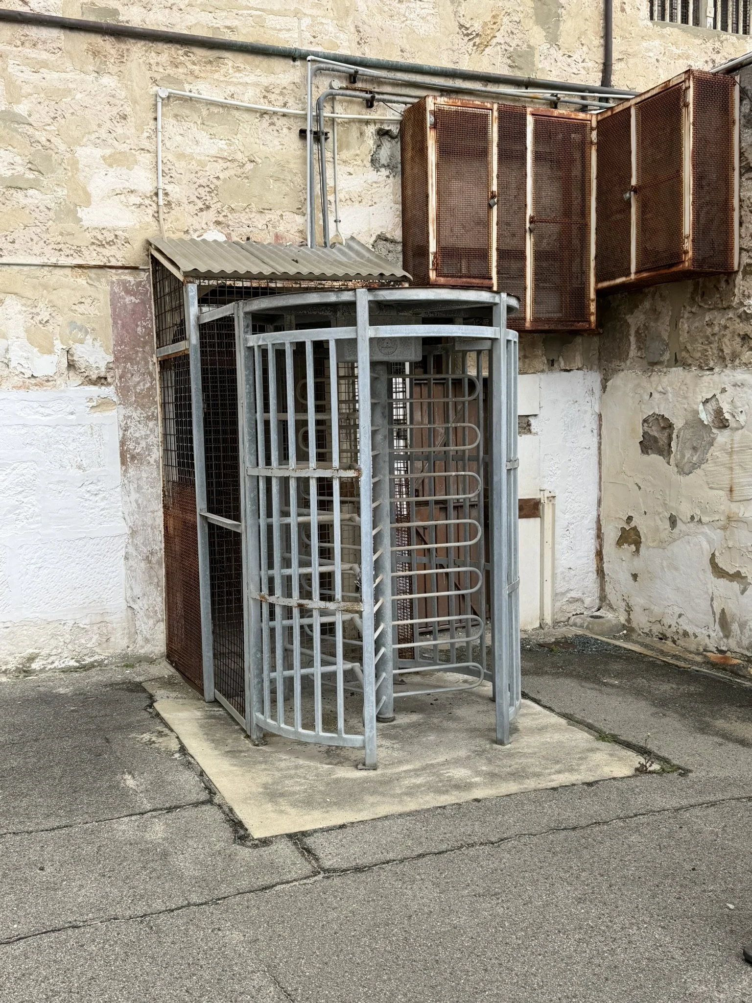 IMG_8648.JPEG