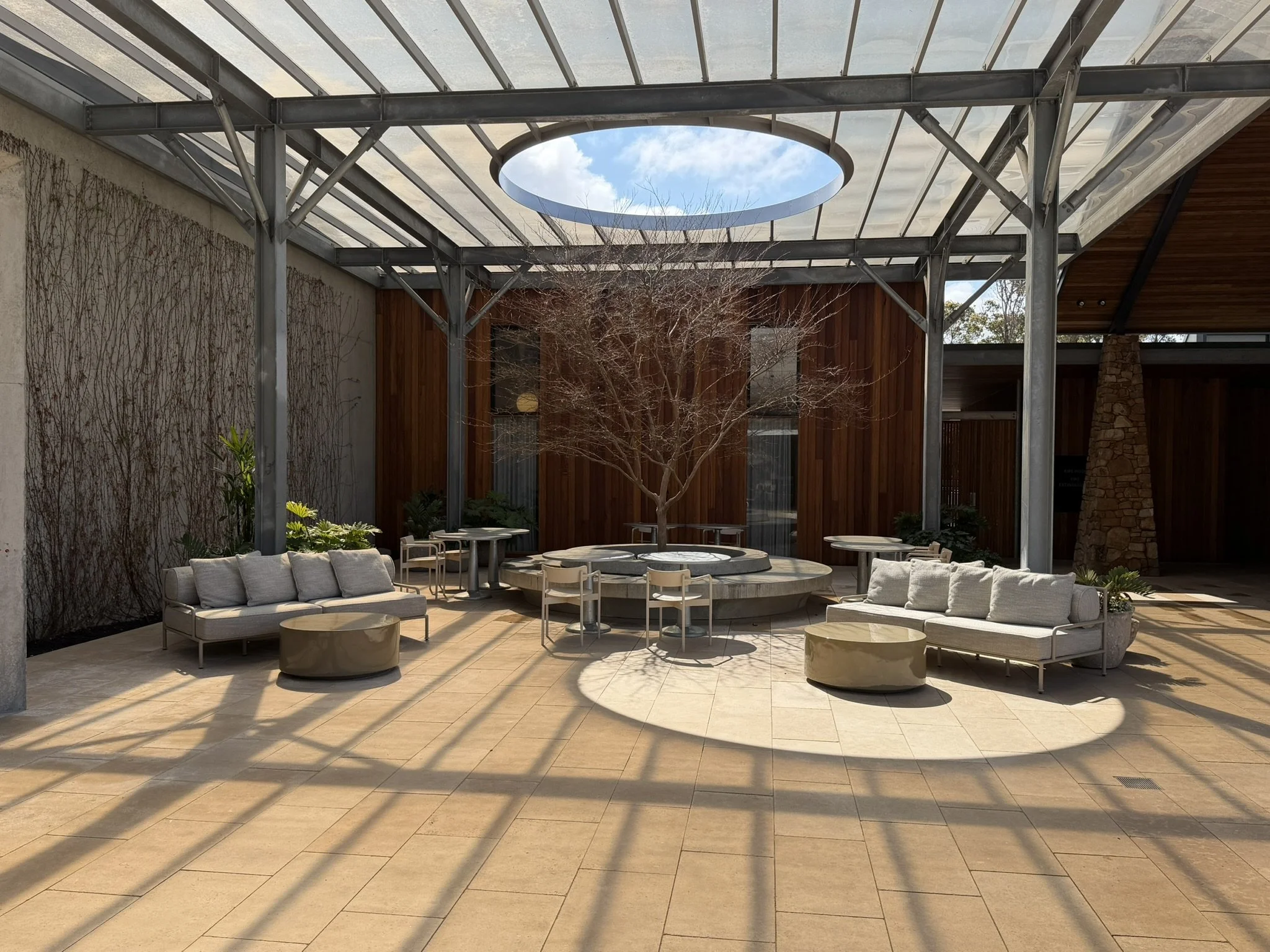 IMG_8856.JPEG
