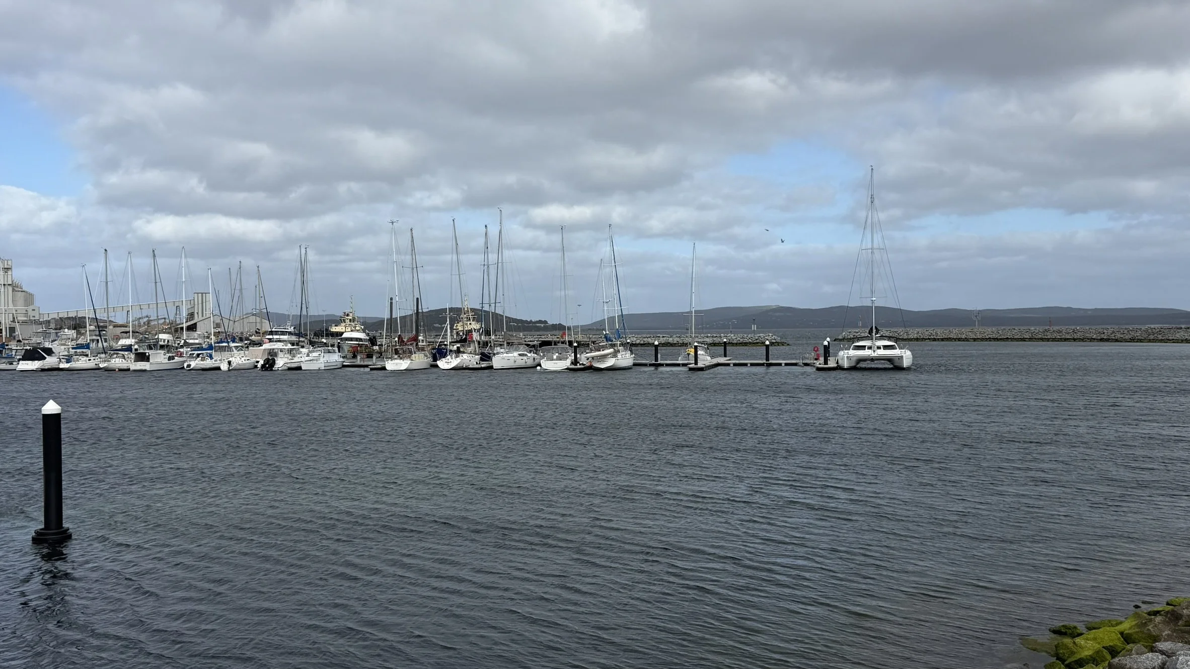 IMG_8946.JPEG