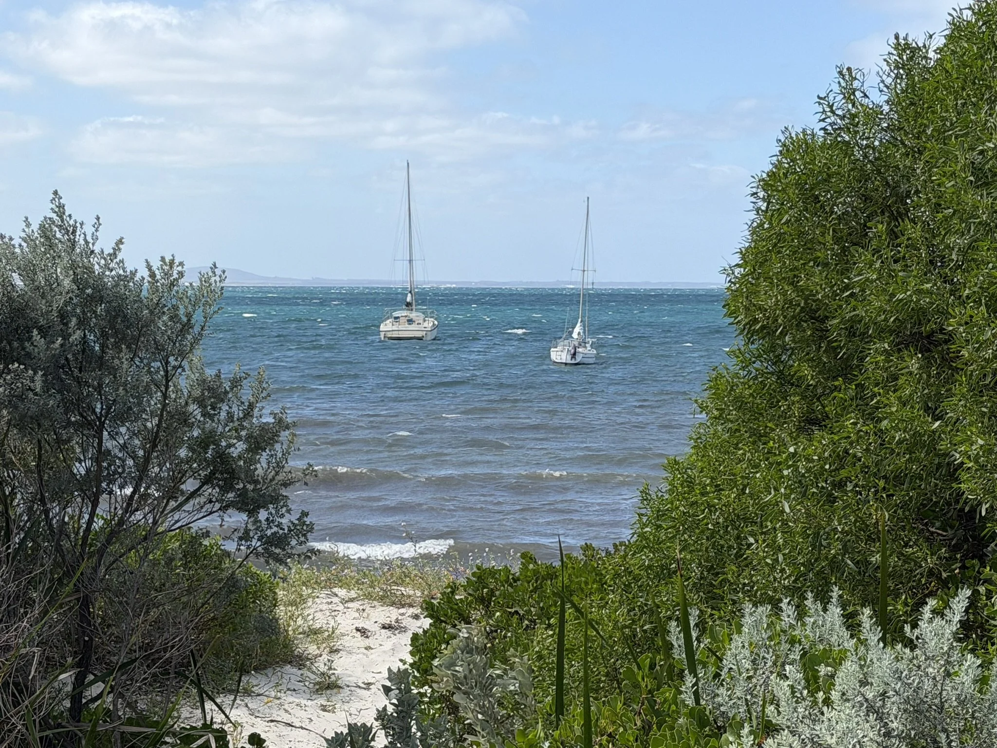 IMG_9130.JPEG