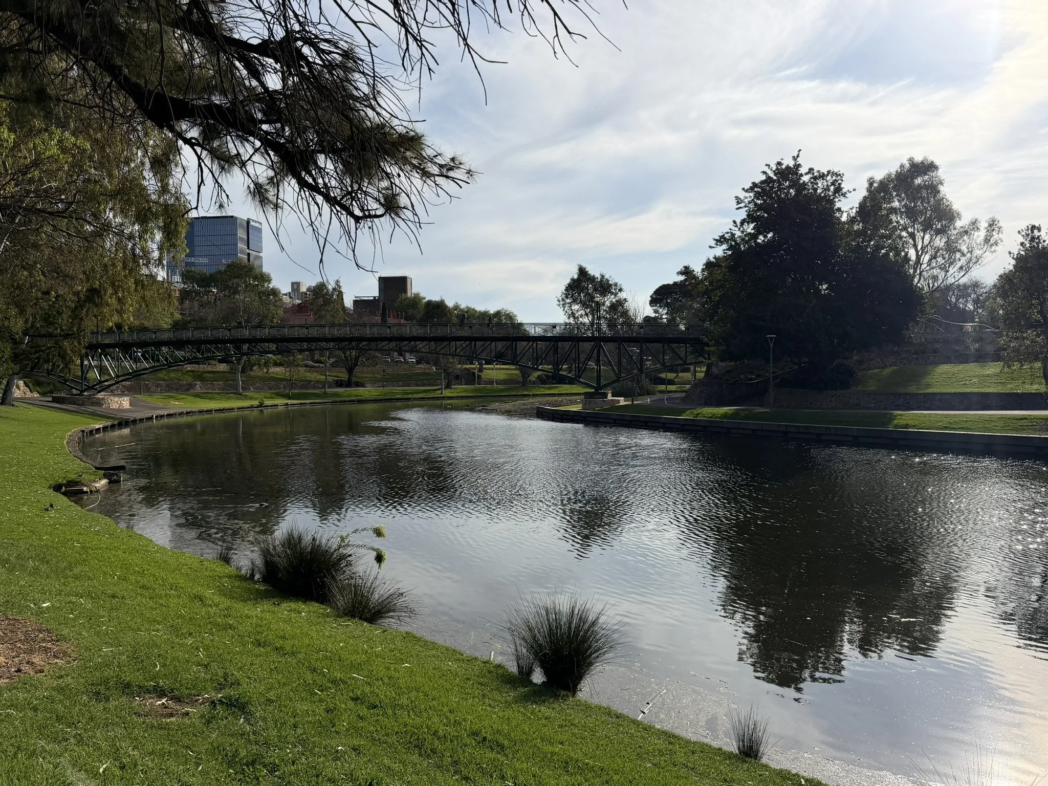 IMG_9821.JPEG