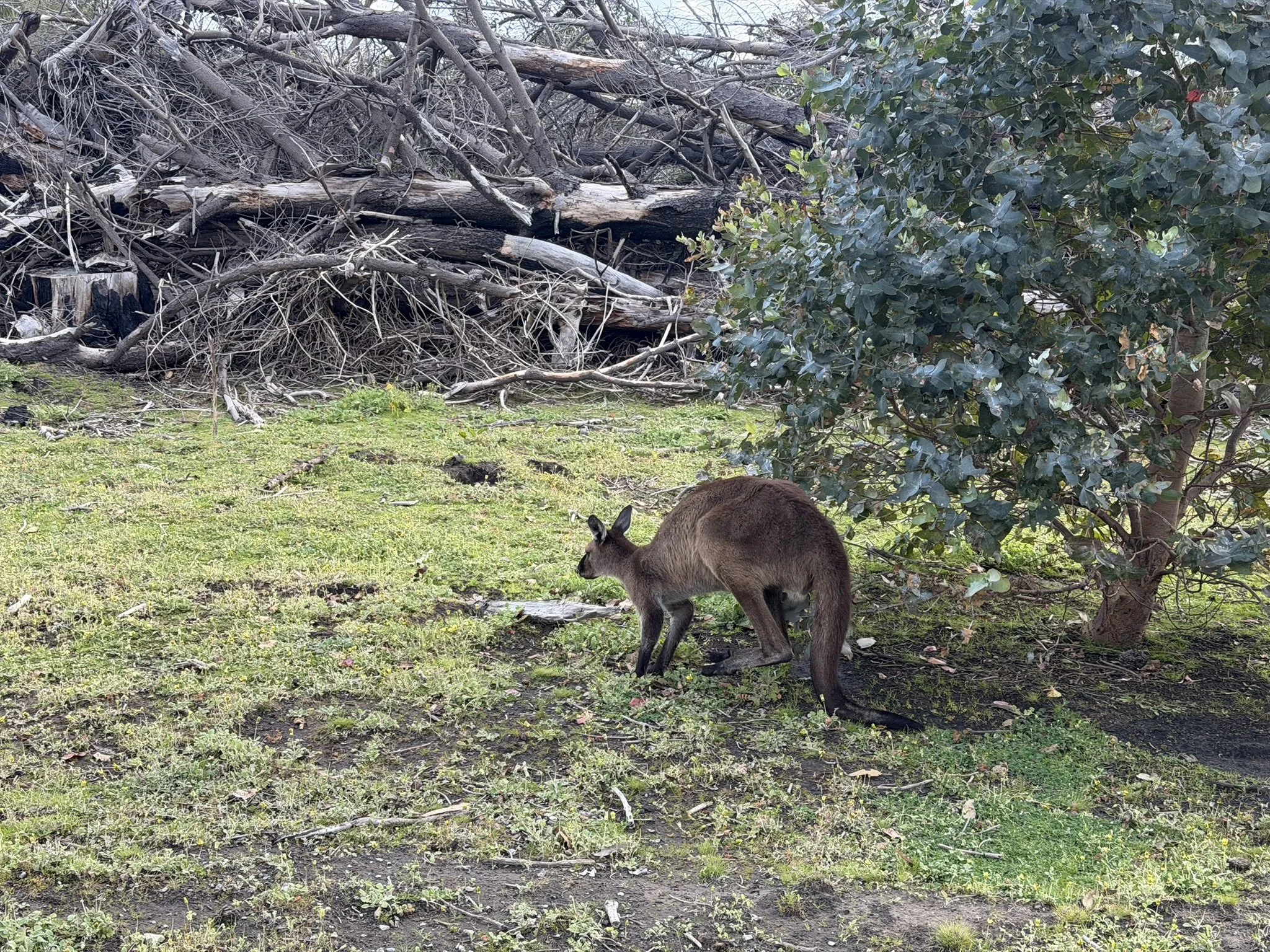 IMG_9943.JPEG
