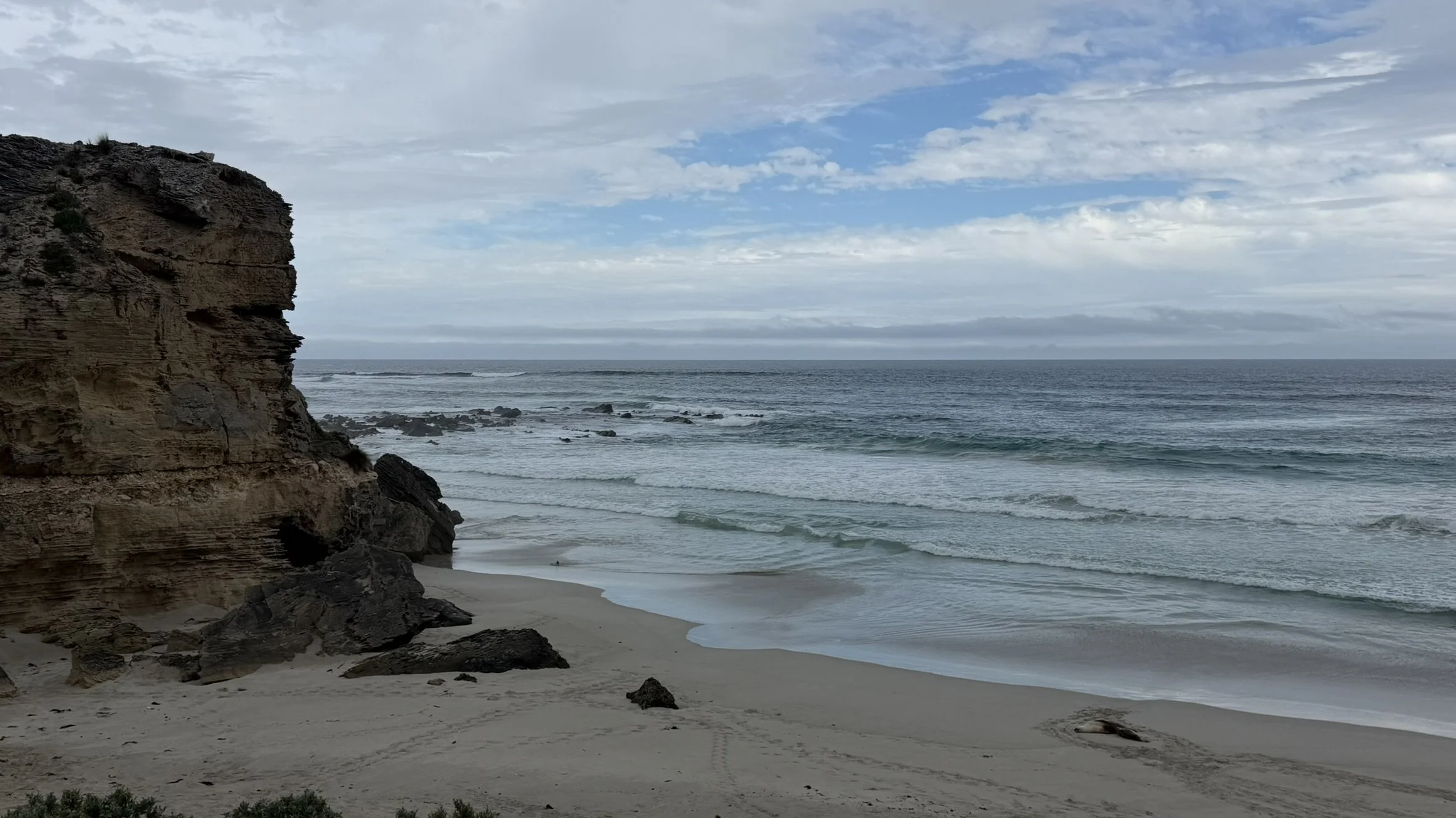 IMG_0001.JPEG
