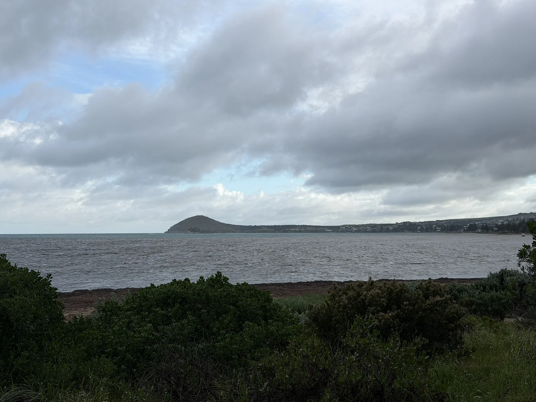 IMG_0021.JPEG