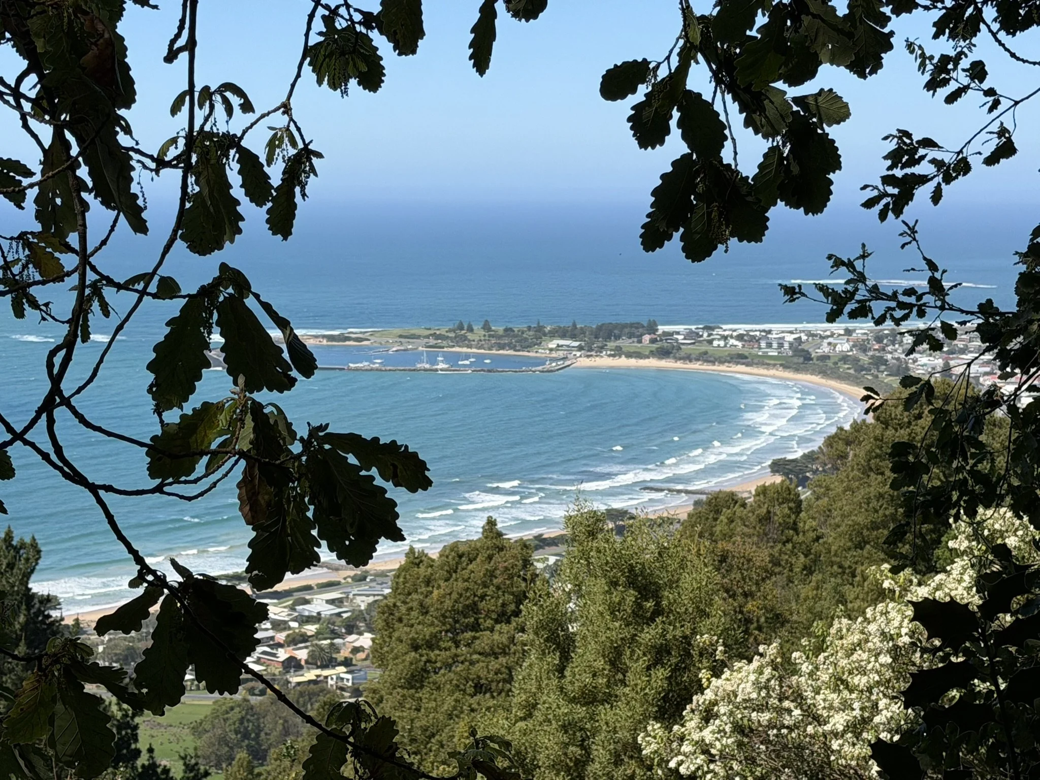 IMG_0219.JPEG