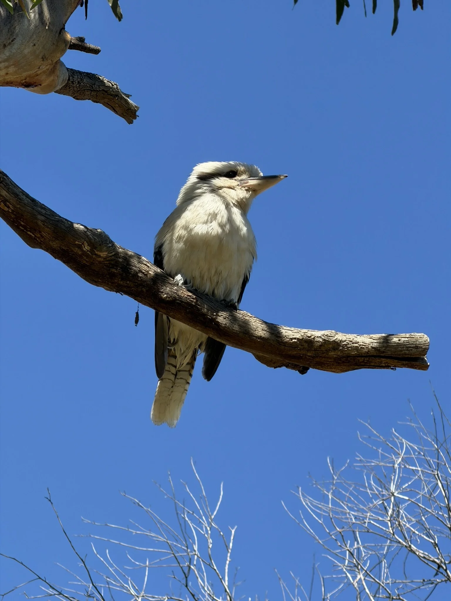 IMG_0228.JPEG