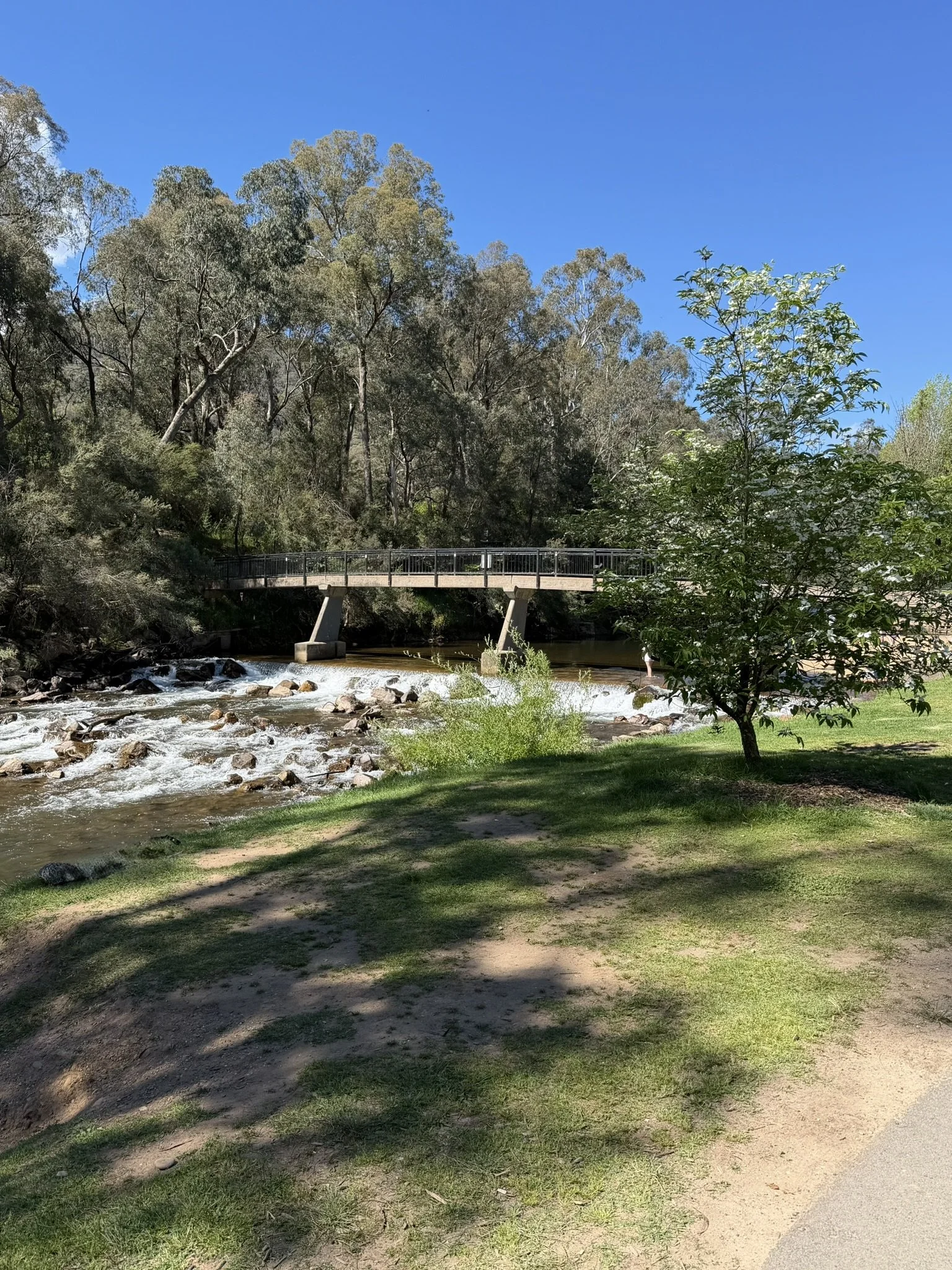 IMG_0442.JPEG