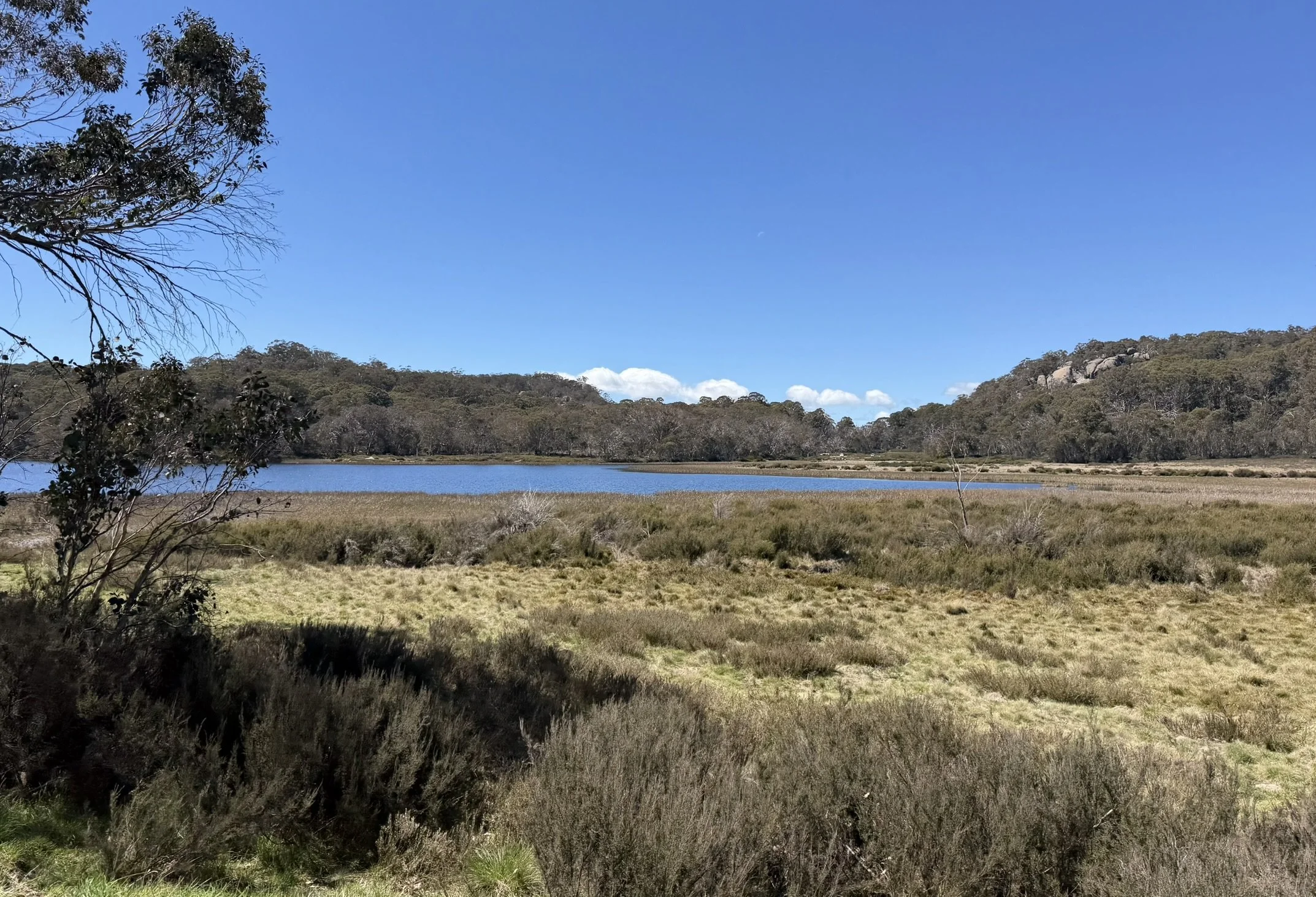 IMG_9198.JPEG