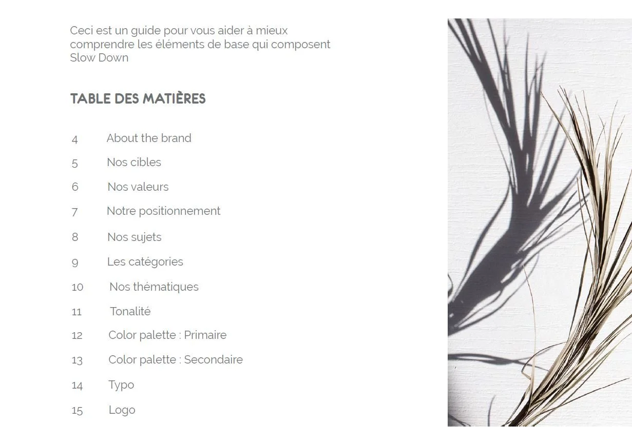 Identité de marque du blog SlowdownToday