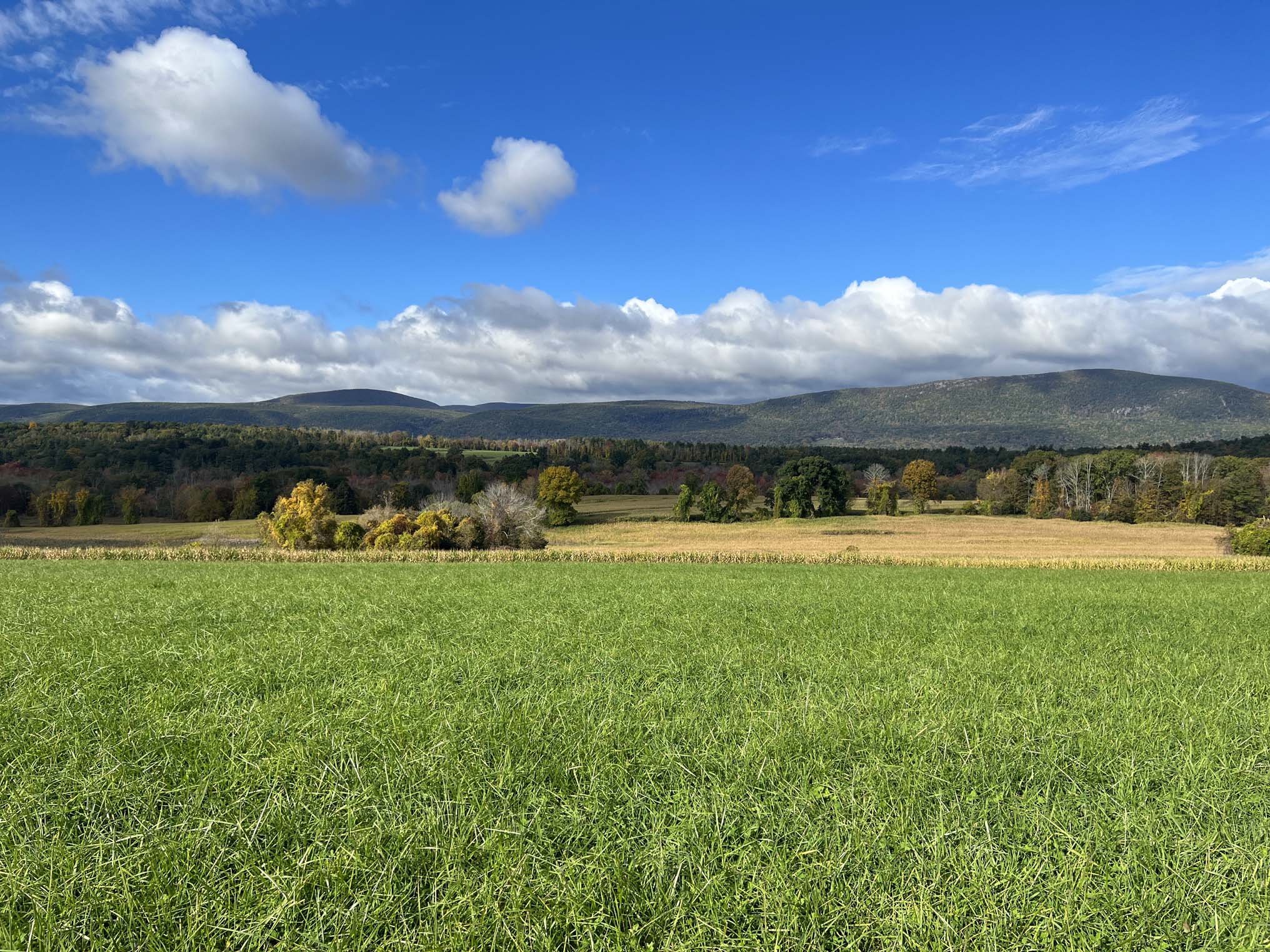 CooperHill_IMG_9811AA.jpg