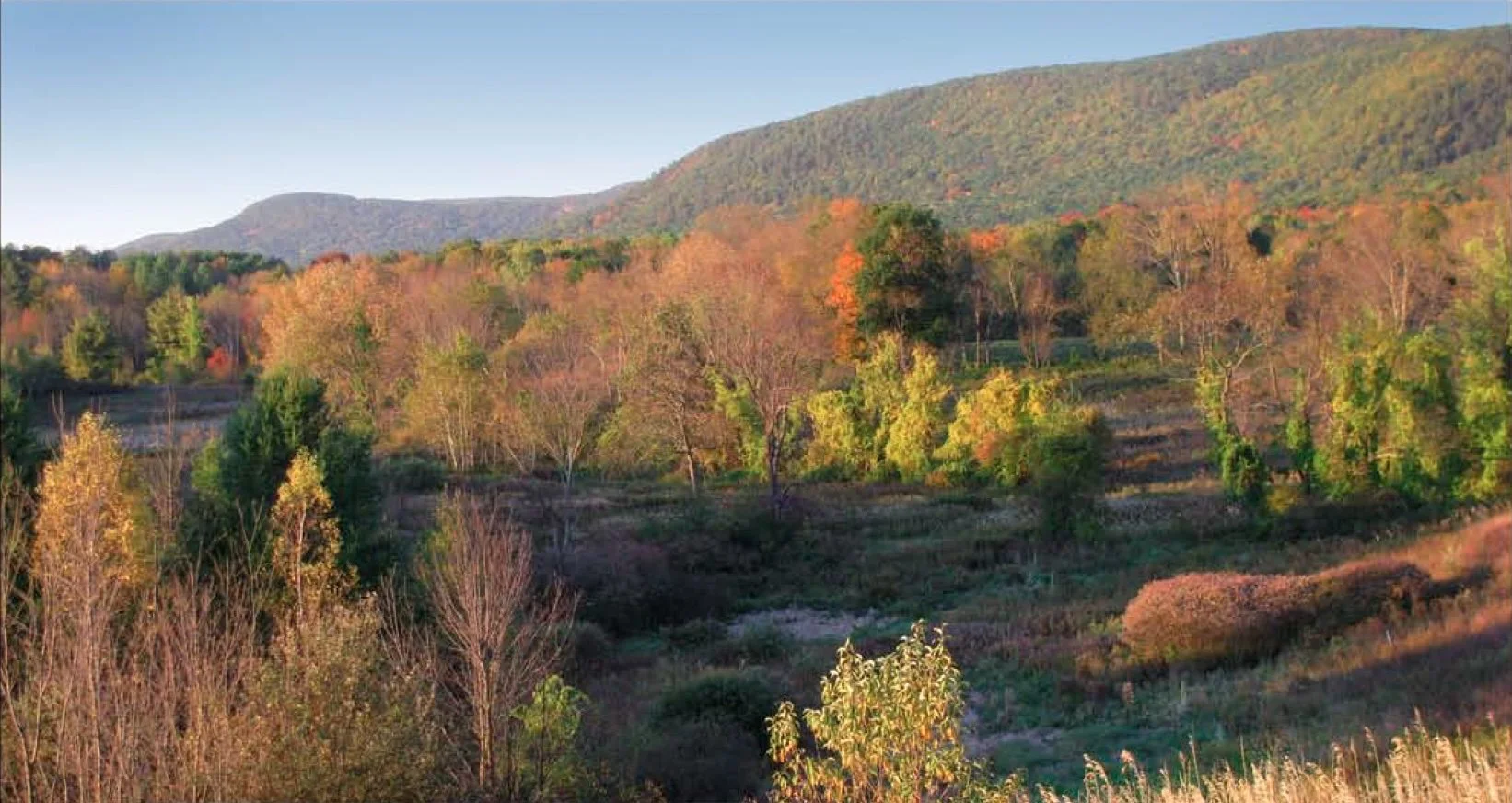 SchenobBrookLandscapePhotoByNancySmith (1).jpg
