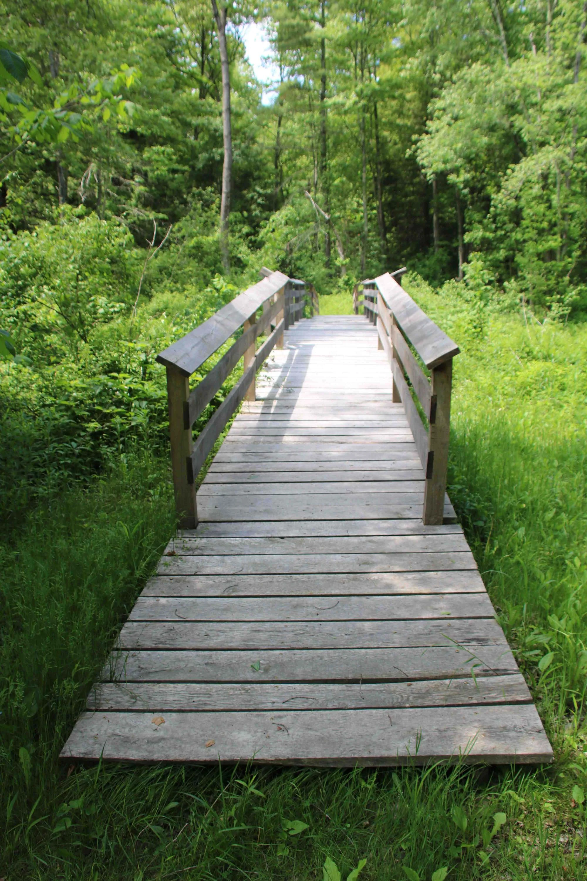 IMG_8694_Bridge2Sm.jpg