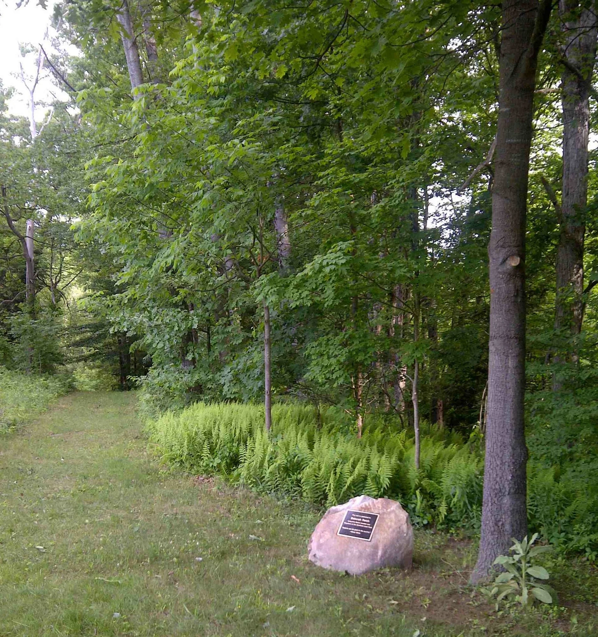 IMG-20160611-StoneInPlaceSmCropped.jpg
