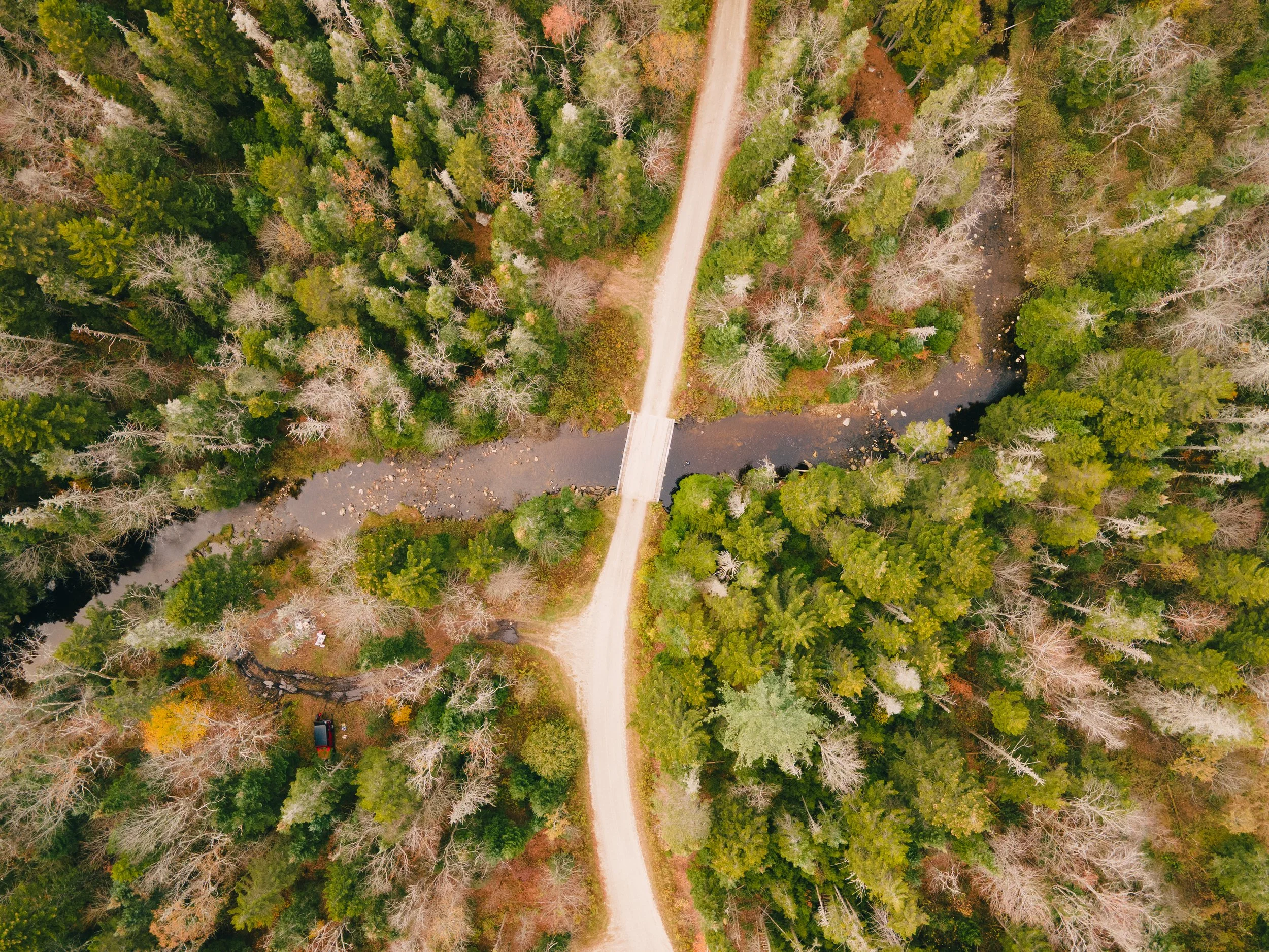 DJI_0001.jpg