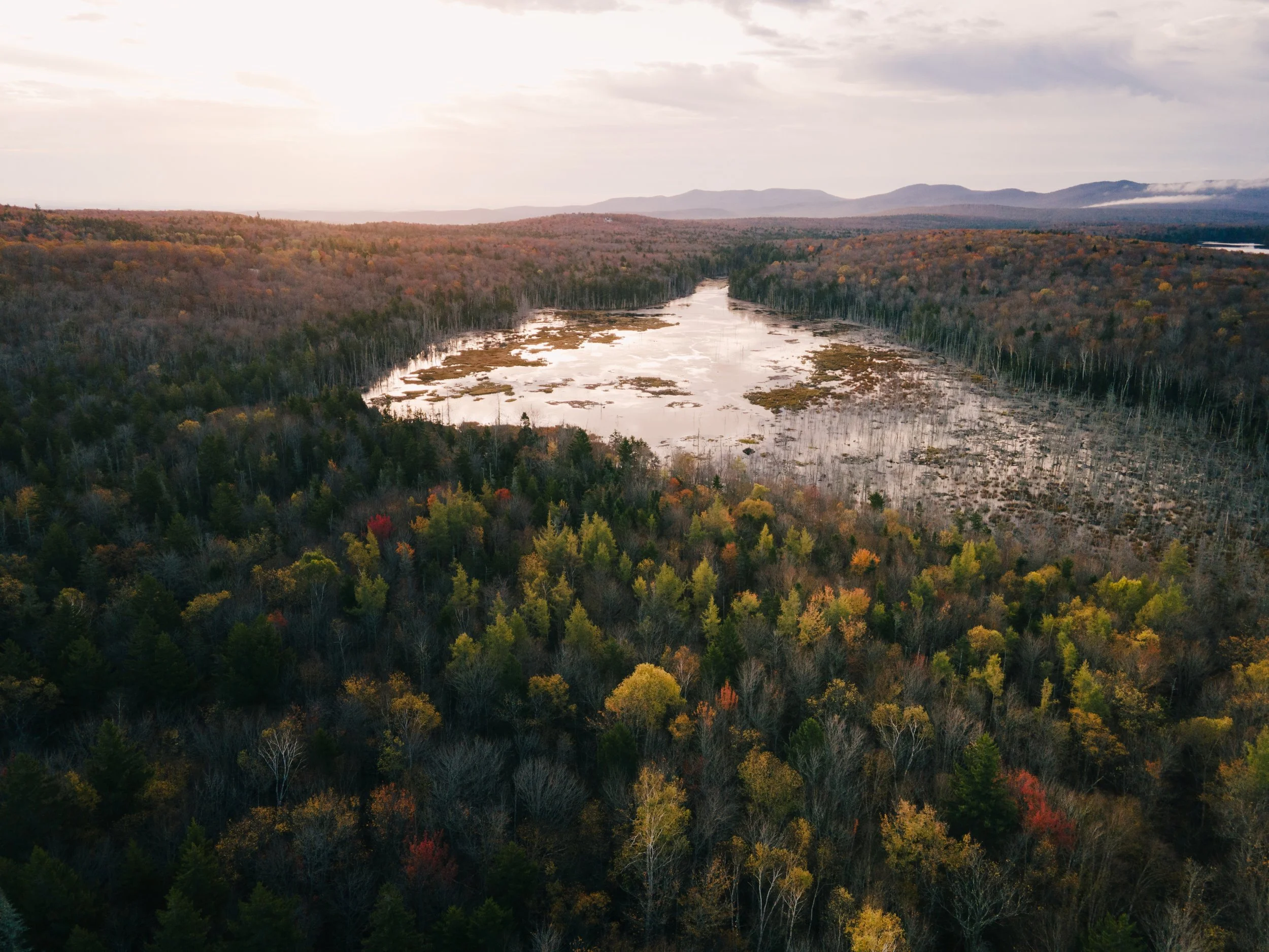 DJI_0051s.jpg
