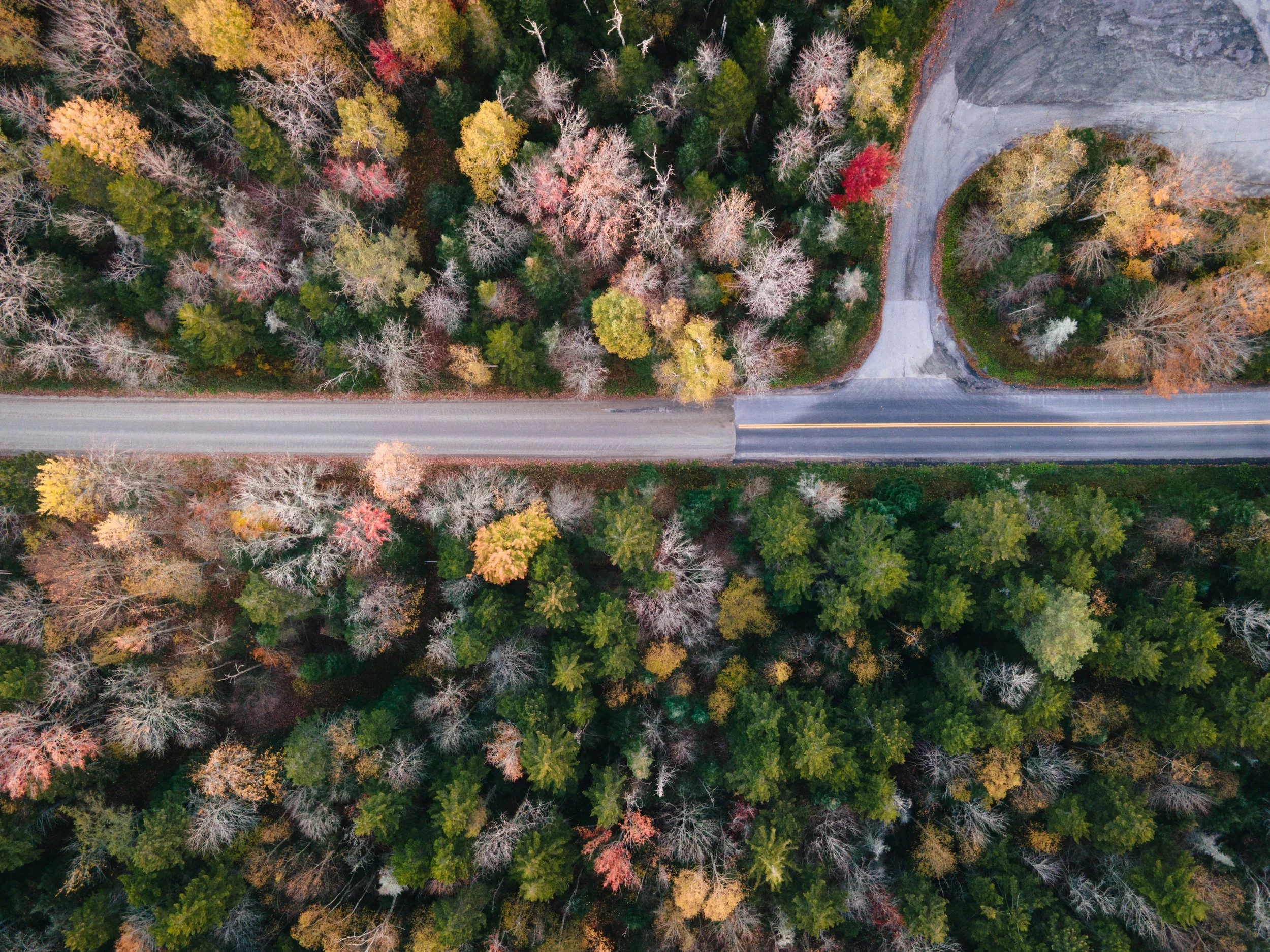 DJI_0036s.jpg