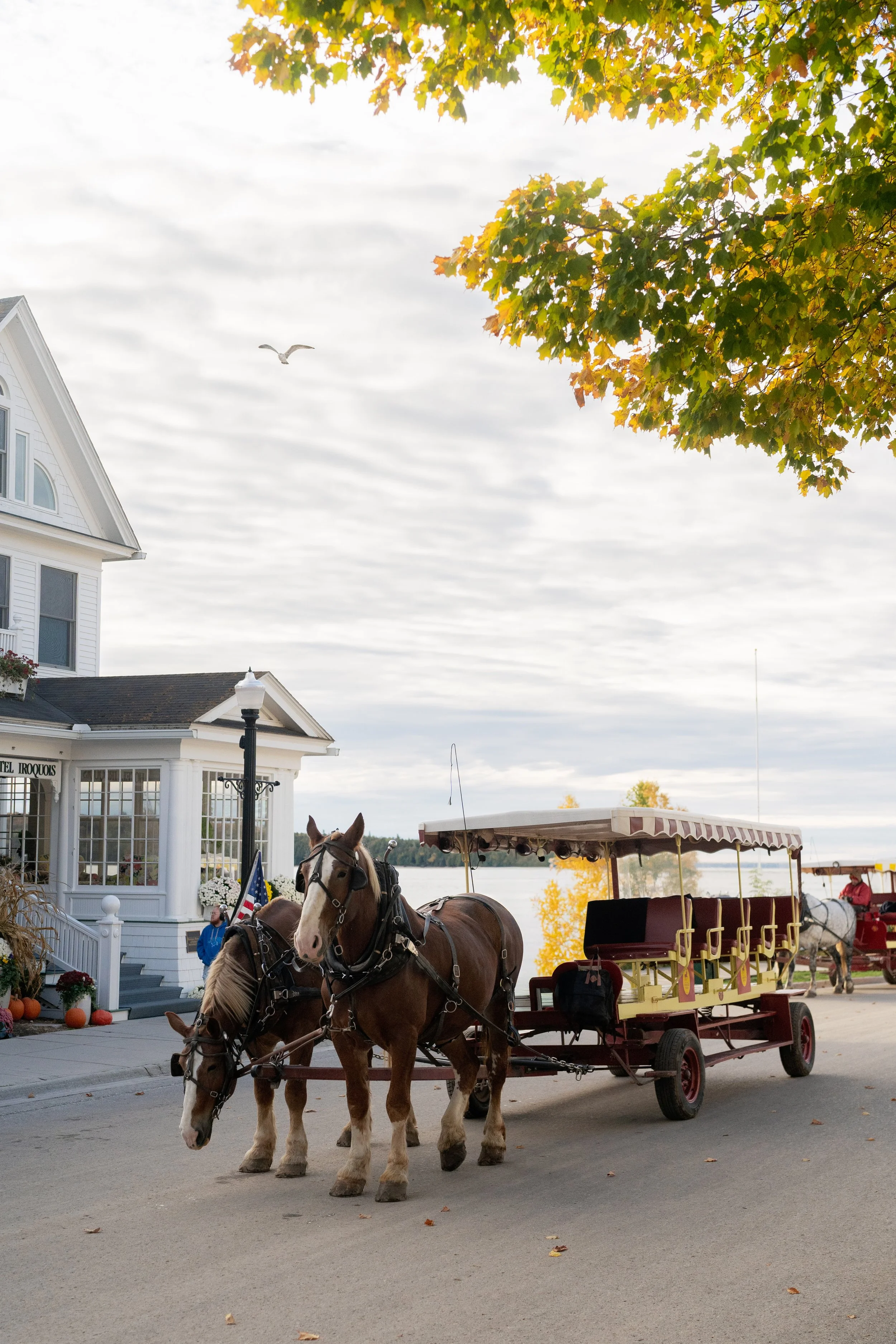 Events held across the States with production help from House of Joy