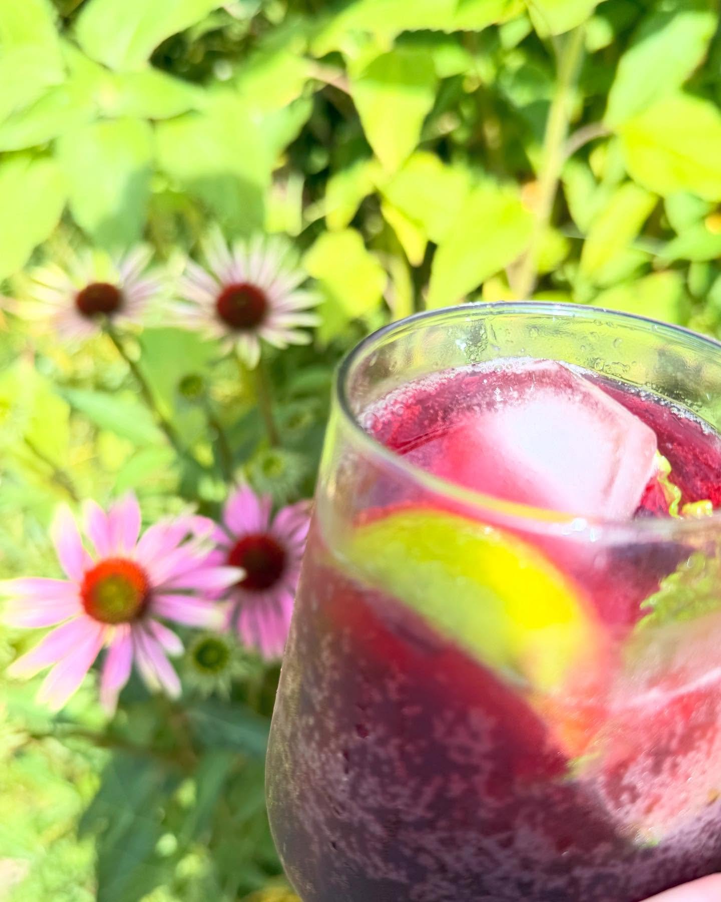 HIBISCUS-ROSE COOLER
I bet you a tenner that next time you have people over, no-one would be sad to be greeted with this zippy no-alcohol cooler. Or just make it for yourself and drink it all. Hibiscus tea is best bought loose (health food shop shou