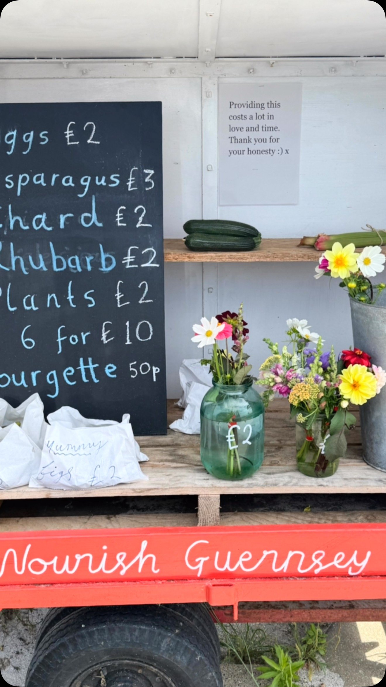 SCENES FROM THE KITCHEN + BEYOND THIS WEEK
Last week in beautiful Guernsey, which has my heart in its buttery grip even more tightly than ever. Adventures included a hedge veg road trip, daily swims (sometimes two) at Bordeaux harbour, more garden gi