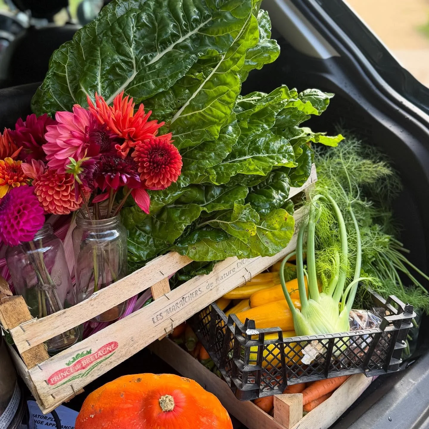 HYPER SEASONAL, HYPER LOCAL 🫛
What a gorgeous haul to collect from @vallis_farm for this weekend&rsquo;s supper club in their beautiful, homely dining room. It&rsquo;s such a treat to prepare vegetables that are grown literally metres from where the