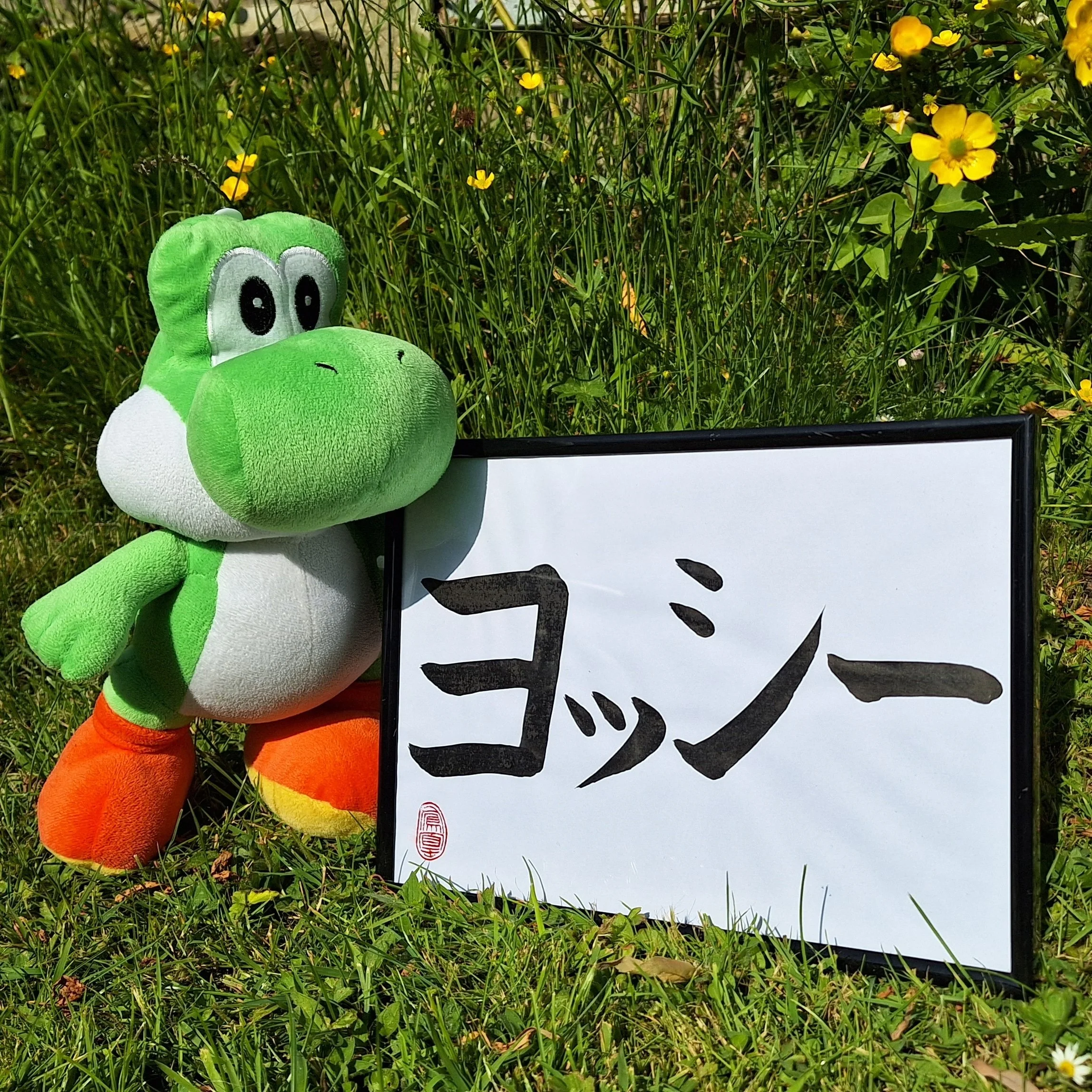 Phoenix Gray - Yoshi Photo.jpg