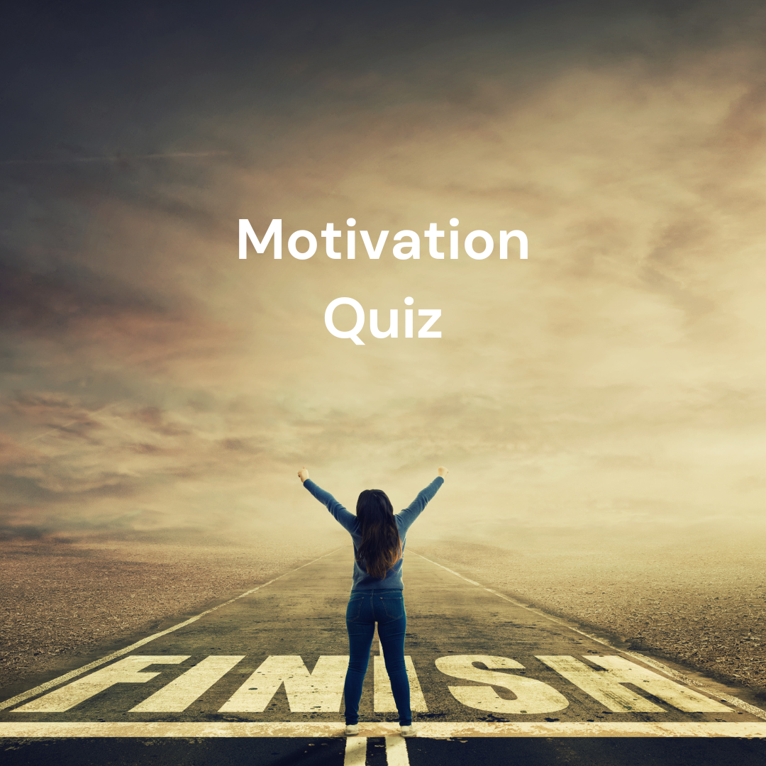 Motivation Quiz Digital PDF Worksheets