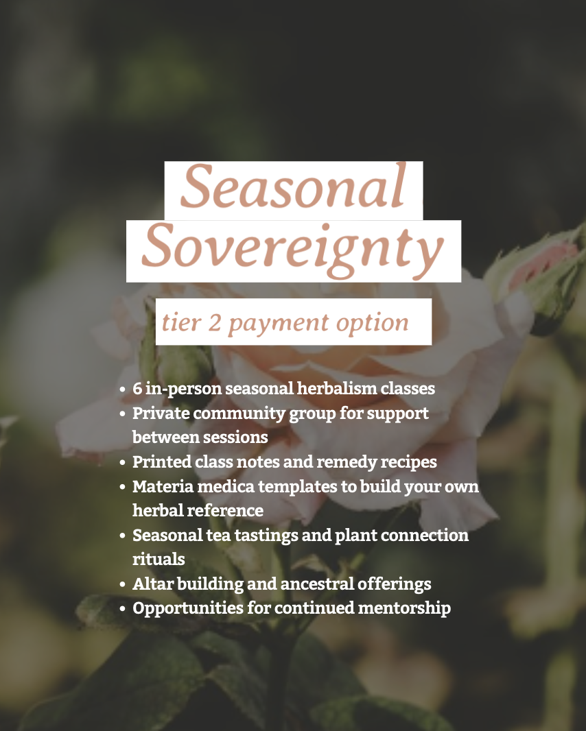 Screenshot 2025-11-20 at 7.34.39 pm.png