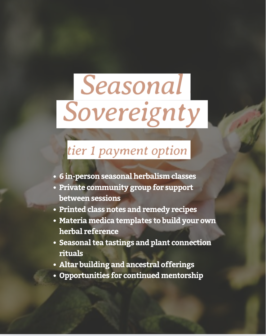 Screenshot 2025-11-20 at 7.34.06 pm.png