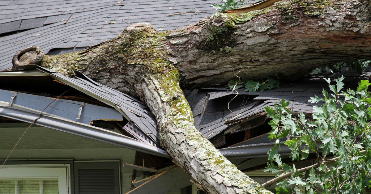 How Insurance Works After Wind Damage to Your Home in Rhode Island