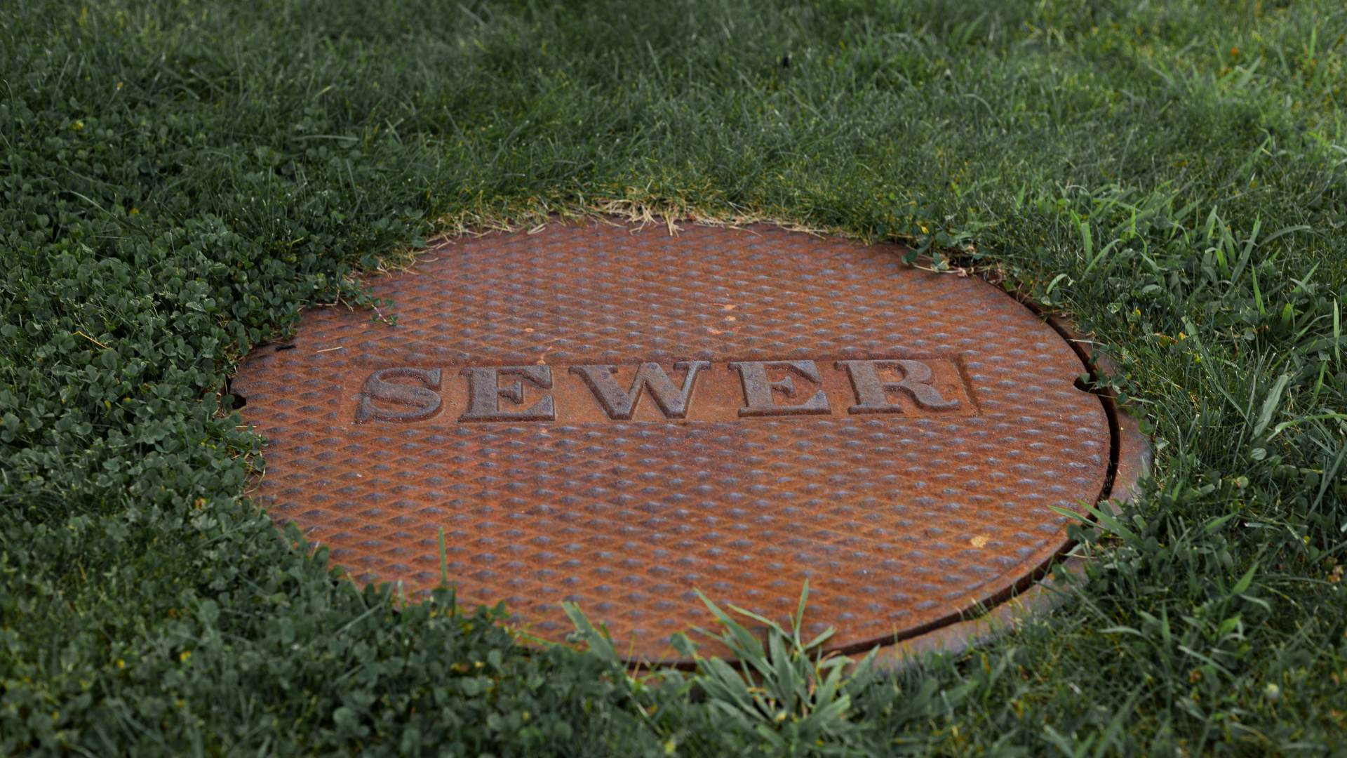 Do You Need Sewer Backup Coverage in Rhode Island?